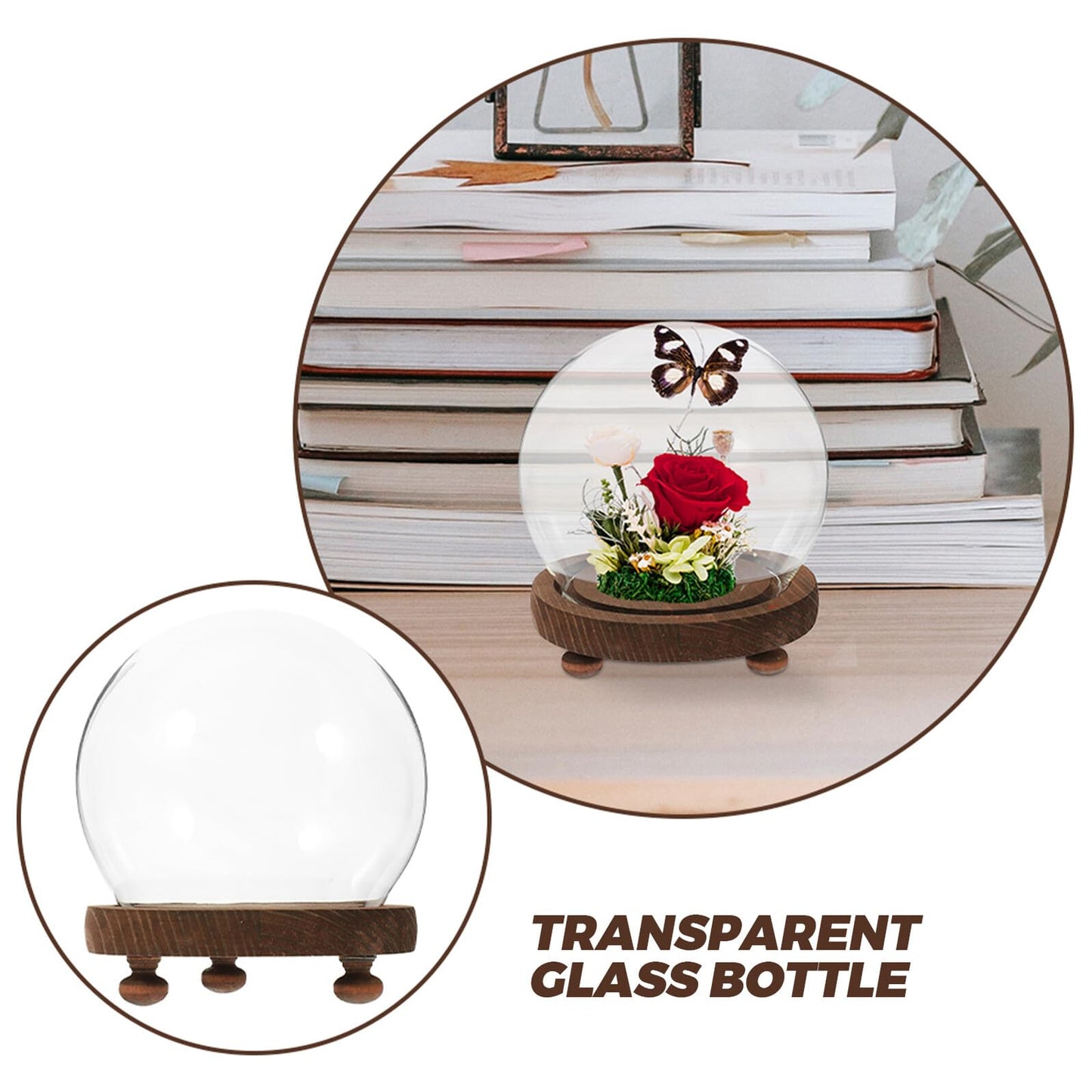 FESTFENDS Glass Cloche Dome Wooden Base Display Case for Preserved Flower and Succulent Craft Decoration