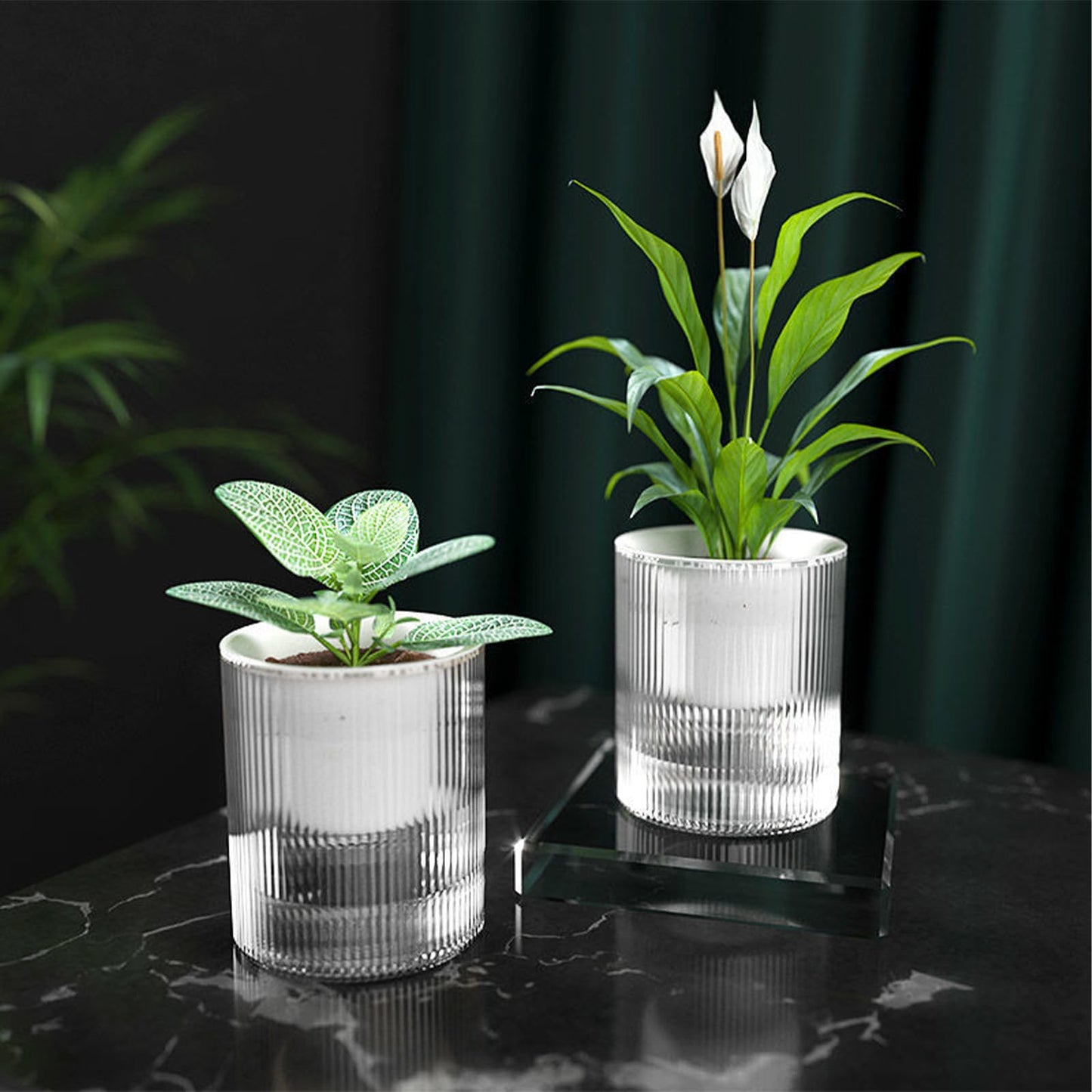 Gidary 7 Inch Self Watering Pots,Clear Self-Watering Planters Box for Indoor Plants Flowers Outdoor Windowsill Gardens Comes with 1 Bag of White Pebbles