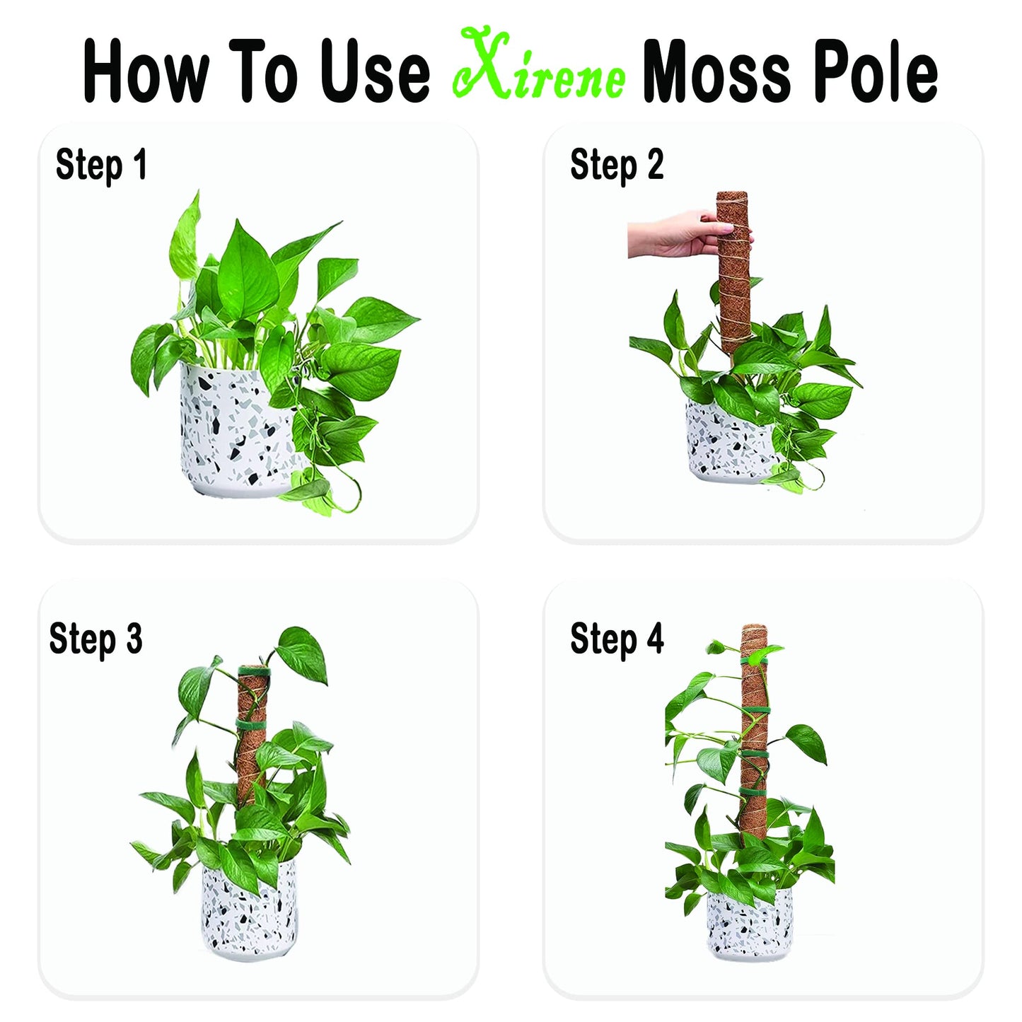 XIRENE 4 Pcs Moss Pole Extending to 51.1 Inches for Plants Monstera, Coco Coir Moss Sticks for Indoor Plants Support Stakes for Climbing Plants Grow Upward with Jute Rope, Tool Set and Hook-Loop Strip