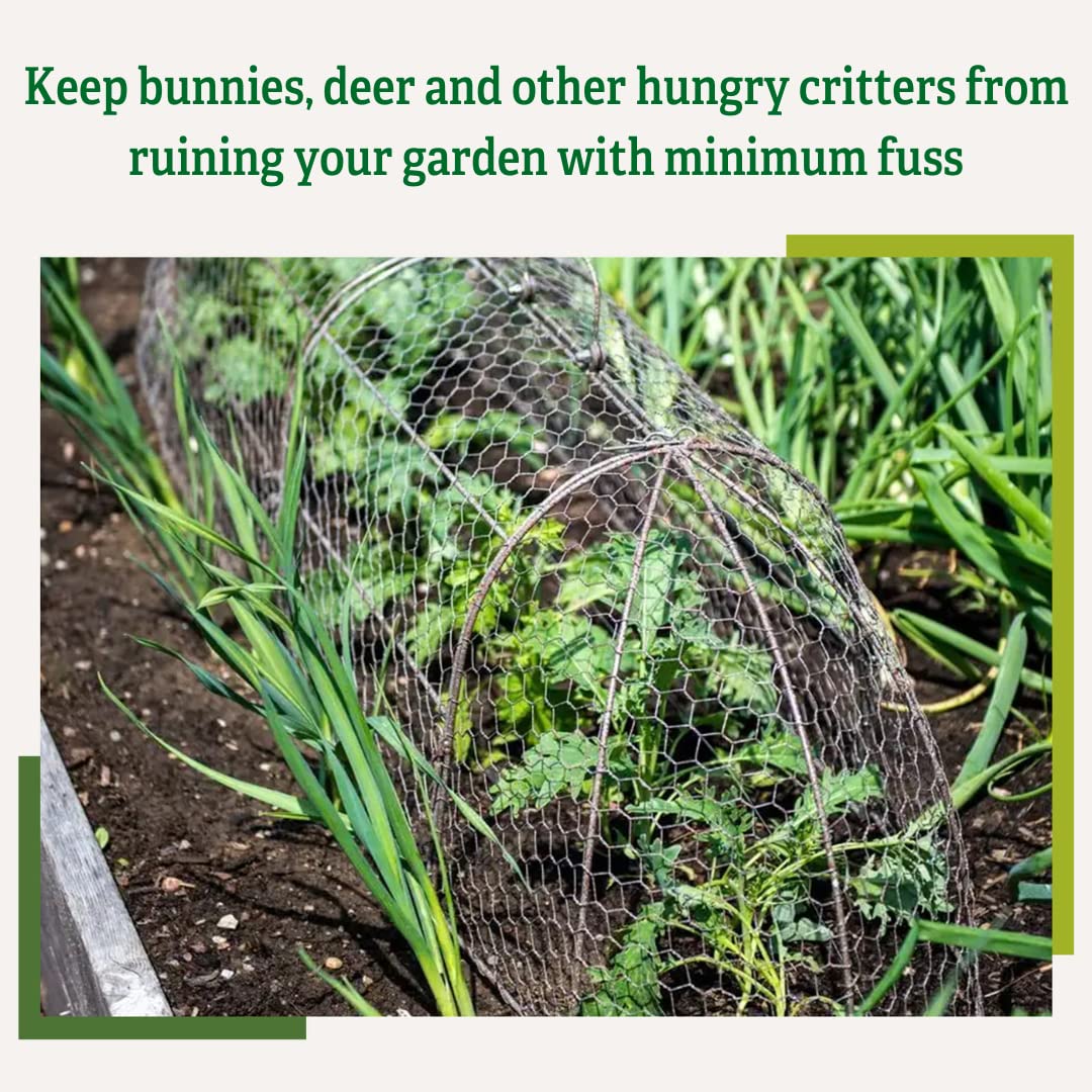 Gardener’s Supply Company Chicken Wire Cloche Garden Plot Plants Cover Protector | Sturdy Arch Metal Tunnel Cage Flowerbeds and Seedlings Garden Protection from Wild Animals | (3-in-1 Set) Extra Large