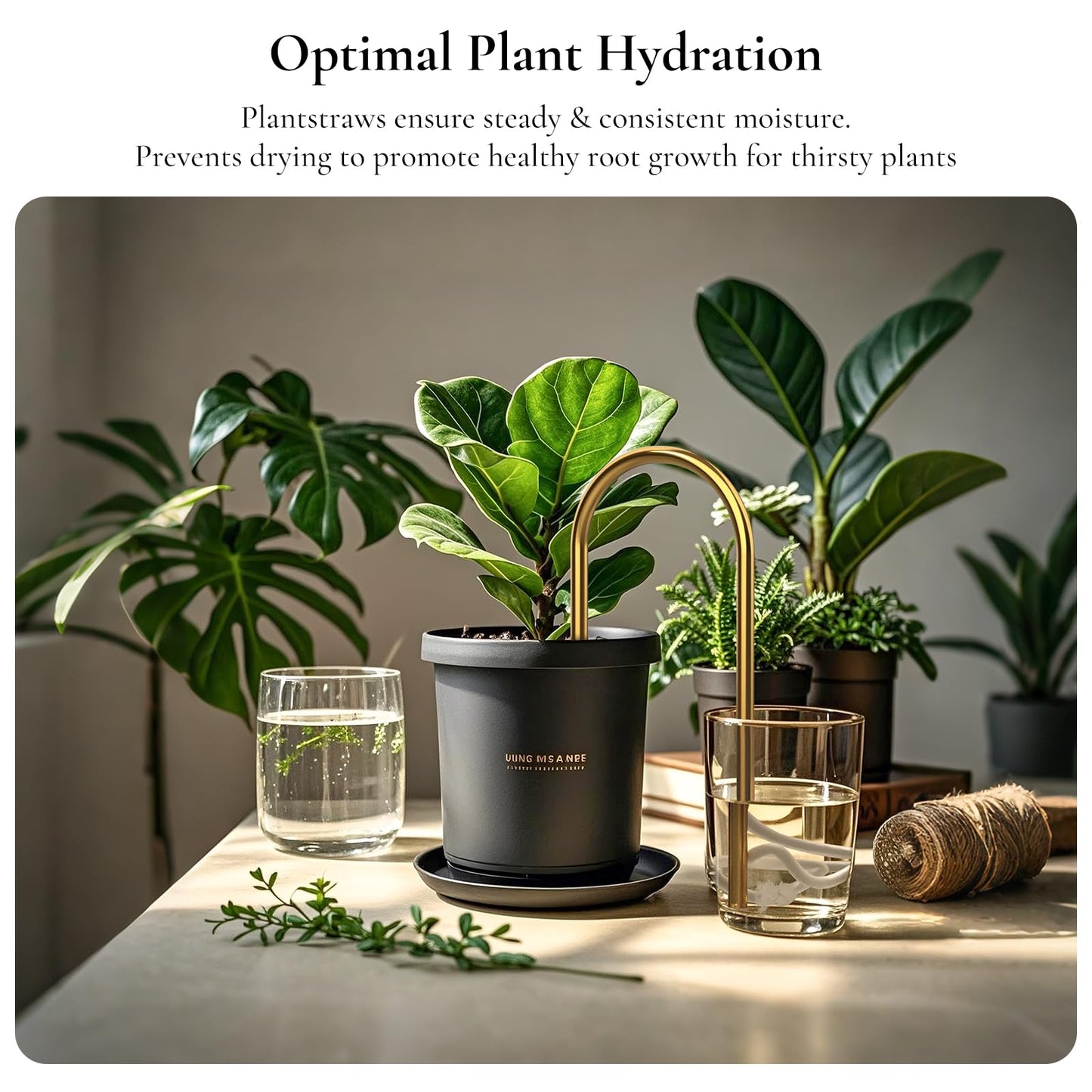 Jinnee Yard，The Intelligent Plant Self-Watering Devices Made of Brass and Cotton，Indoor Plant Watering Devices，Vacation Plant Waterer (Matte Finish)