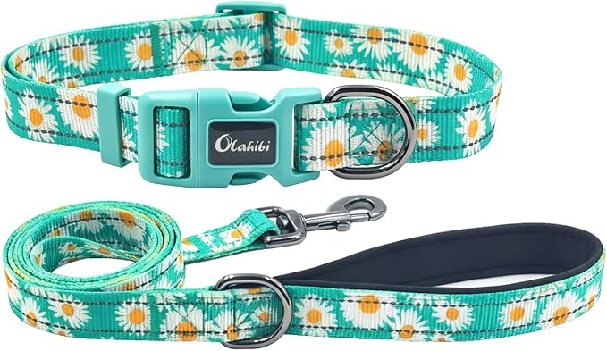 Dog Collar Leash Set, Floral Pattern, with Safety Reflective Strips, 5 ft Matching Leash, Neoprene Padded Handle, Adjustable 4 Sizes for Small Medium Large Dogs.(L, Green Daisy)
