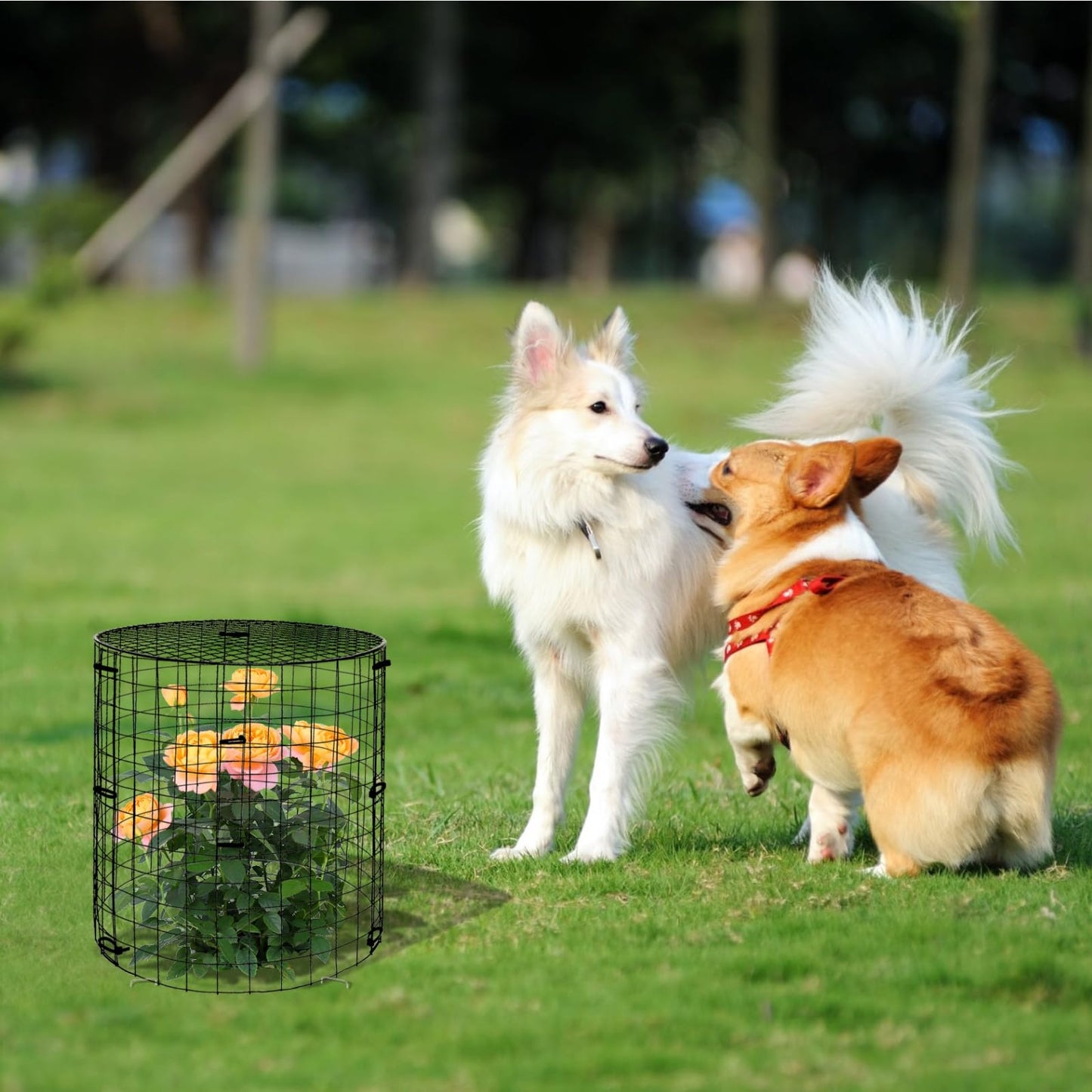 6 Pack Plant Protectors from Animals with Cover, 18PCS 12.6"x11.8" Metal Wire Mesh Cage with Stakes Garden Protection for Rabbits, Chicken, Duck Bunny Barricades for Vegetables, Seedlings and Flower