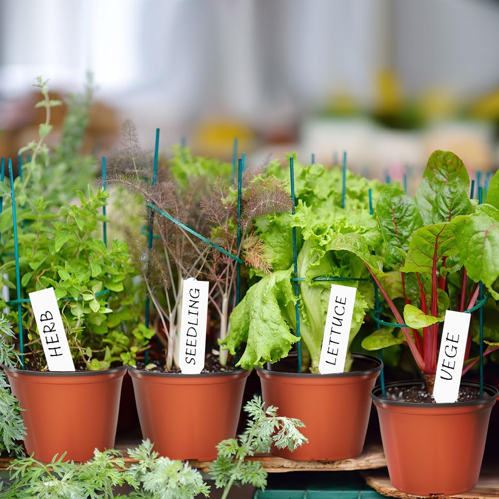 Bluckincle 100 Pcs 4 Inch Plant Nursery Pots and 8 Pack 5.5 Inch Plant Pots Indoor Outdoor