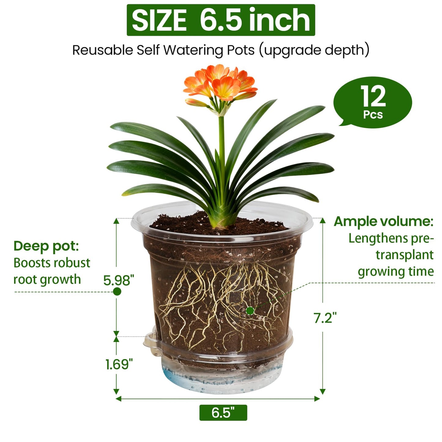 MIXC 12 Packs 6.5 Inch Self Watering Pots for Indoor Plants - Clear Nursery Plant Pots with Drainage, Deep Visible Reservoir - Flower Planter Outdoor with Wicking Rope