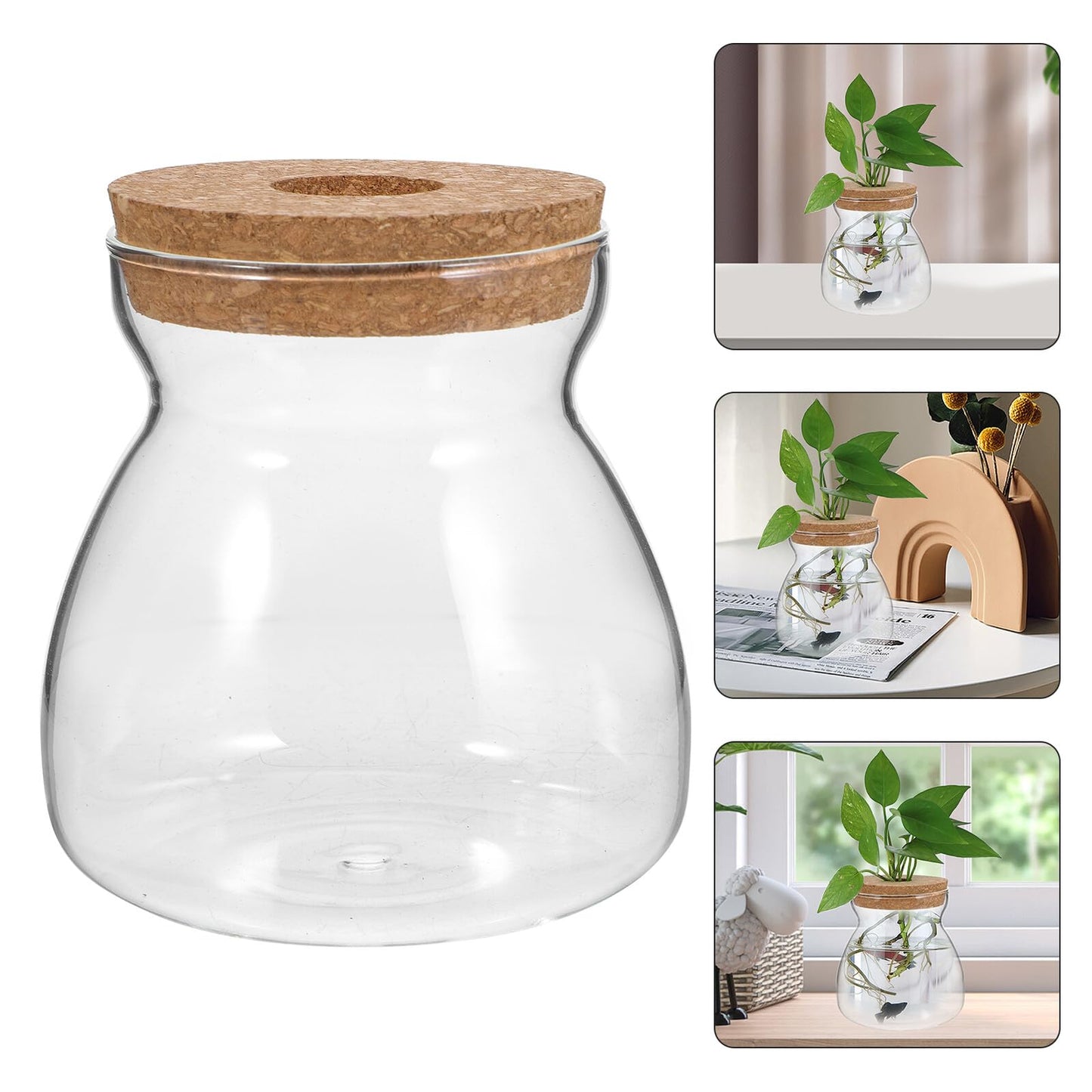 IDEANATEGRATE Glass Plant Jar Hole Lid Micro Landscape Terrarium Container Hydroponic Vases for Desktop Gardening Glass Ecosystem Container (Size)