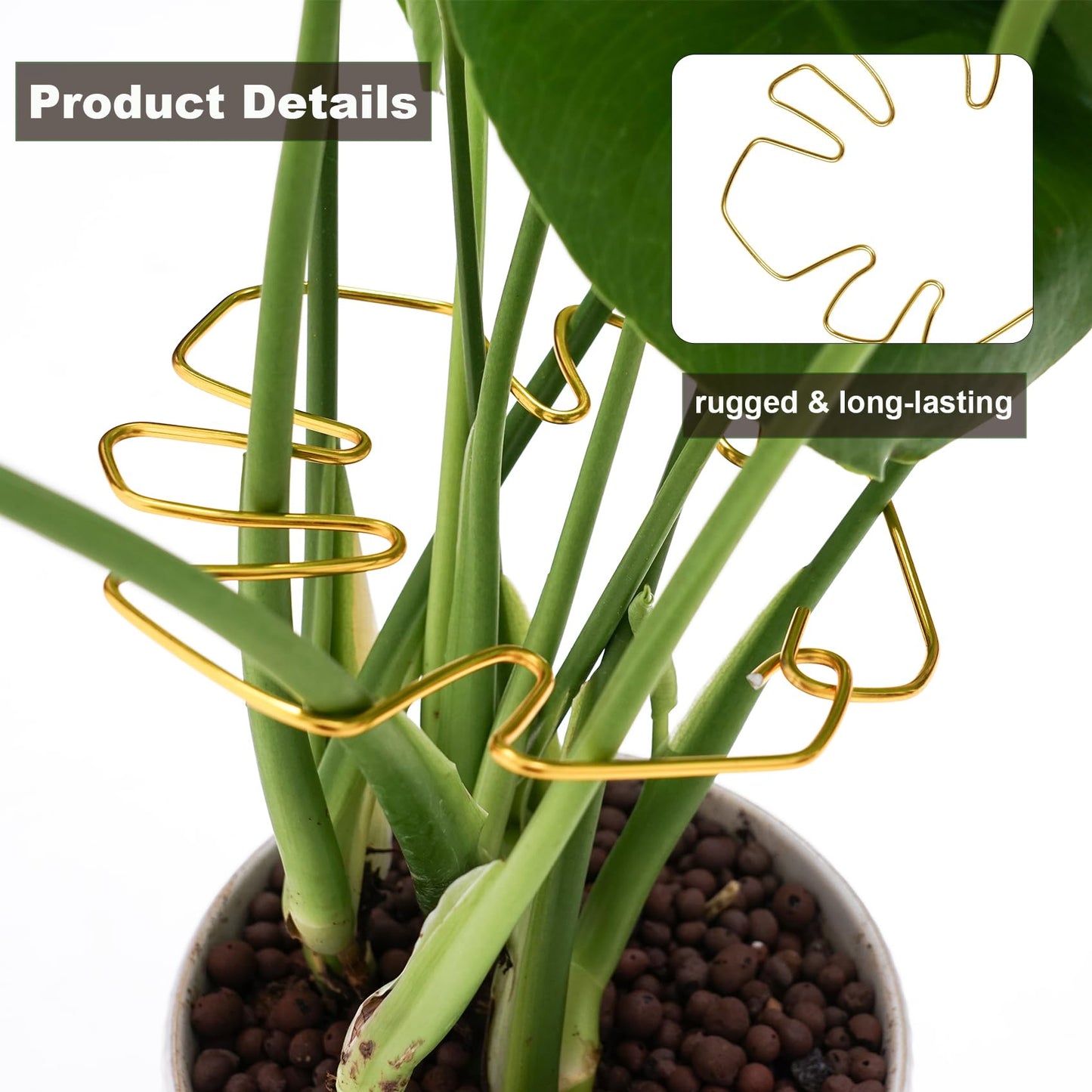 6PCS Monstera Plant Stem Support , Monstera Stabilizer Grapple Holder Unique Design for Turtle Shell Bamboo Clamp Set, Ideal Plant Support Stakes for Thriving Growth Indoor Climbing Plant (Gold)