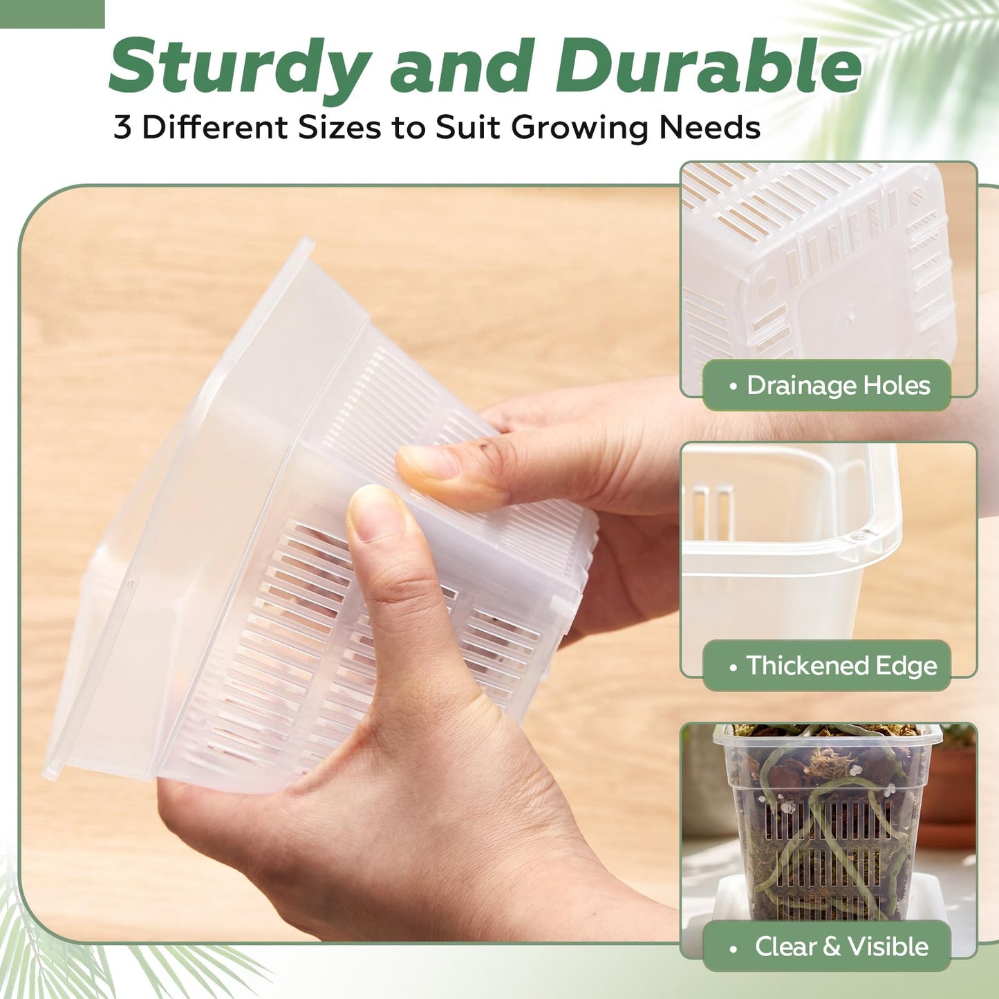 Wonderjune 6 Set Clear Orchid Pots with Holes and Saucers, 2 Each of 4", 4.7", 5.9" for Repotting, Plastic Planter Flower Slotted Square Nursery Pots with Drainage for Root Health Indoor Outdoor