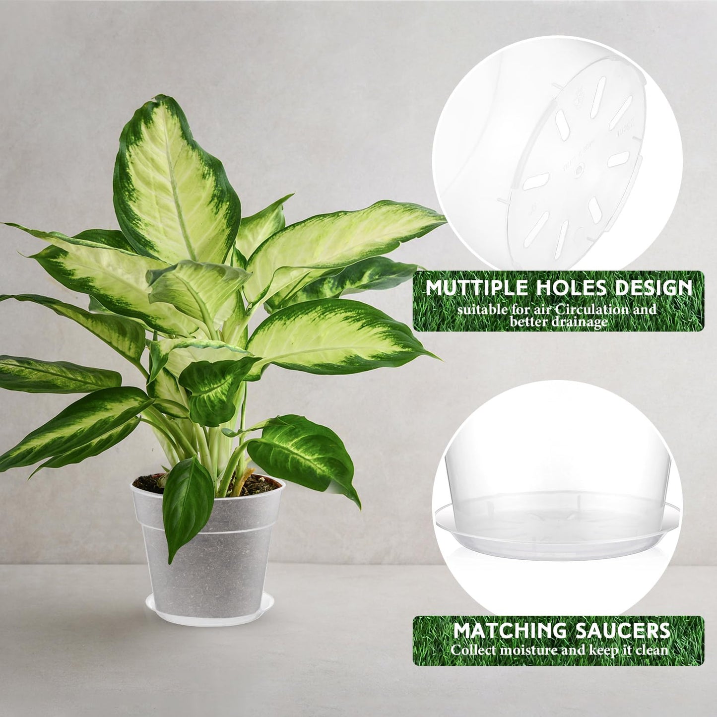 Baderke 3 Pack Clear Nursery Pot Plastic Nursery Pot Large Plant with Drainage Holes for Root Health Indoor Outdoor (9.25 Inches)