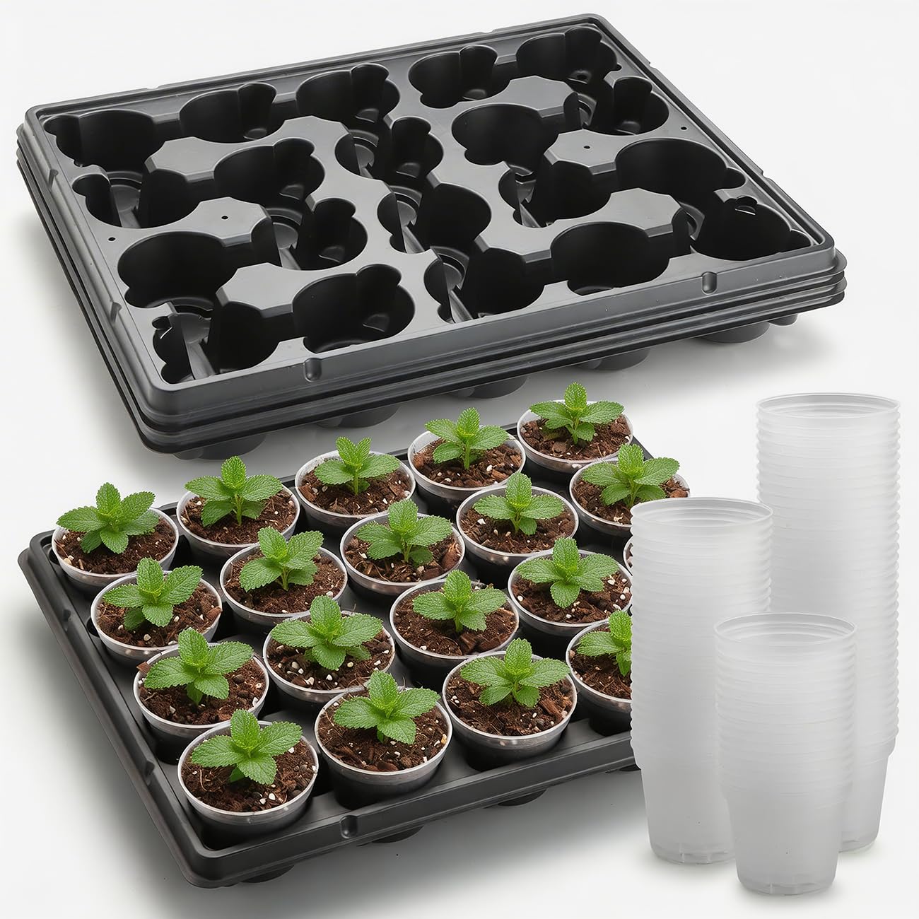 3 Inch Clear Nursery Pots 100 Pcs with 5 Pcs 20 Cell Potting Trays, 5 Sets Seed Starting Kit for Seedlings Cuttings Indoor Growing, Sturdy Transparent Plant Pot Carrying Tray Germination Set