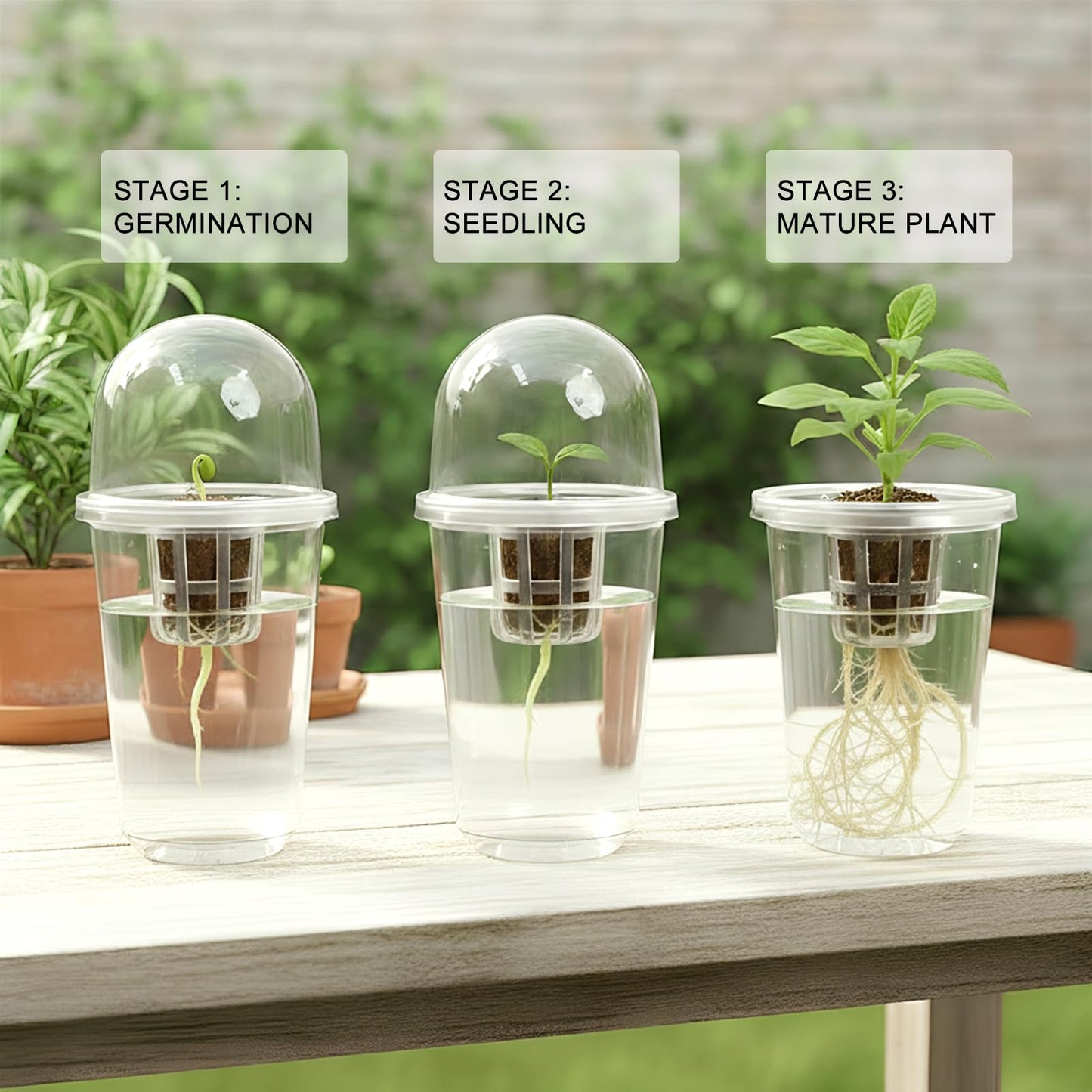 ROIKETU 12 Pack Transparent Hydroponic Cups with Humidity Domes,Hydroponic Growing System for Seedlings,Seed Starting Cups for Seed Starting,Root Monitoring
