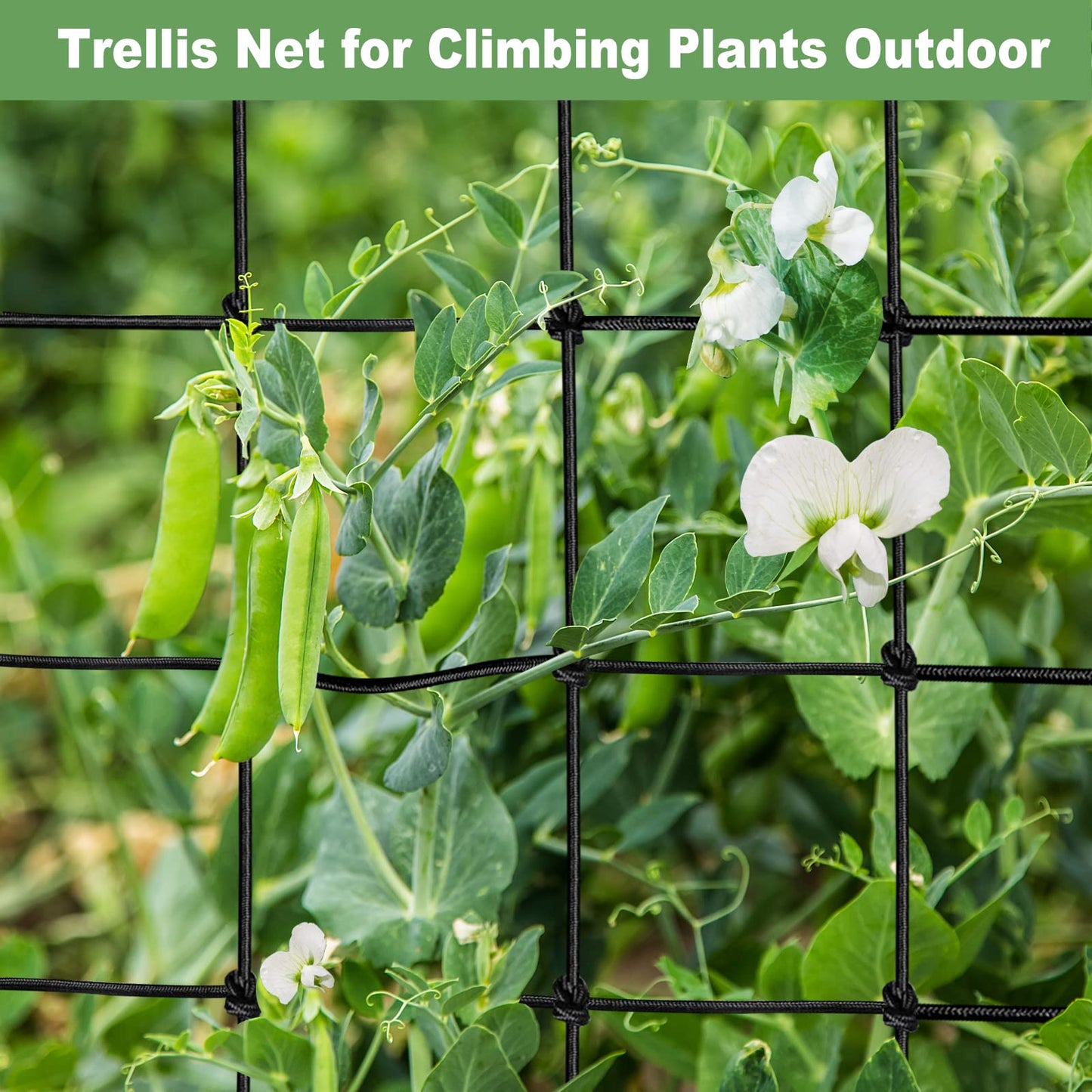 BSTPCOO 2x4 Trellis Net for Grow Tent, Stretchy Scrog Net Heavy Duty Trellis Netting with Hooks for Climbing Plants Outdoor Indoor Plant Growing Tents, Cucumber Trellis Netting Support for Garden