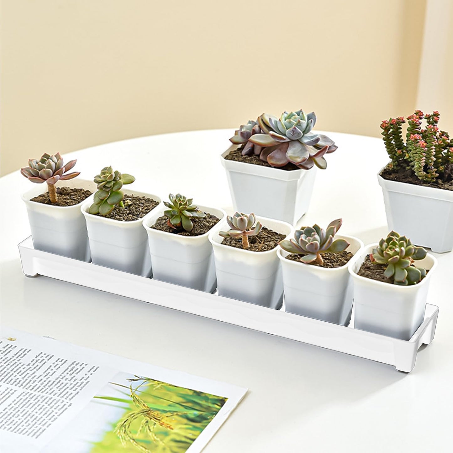 JoyHuaTrade 5 PCS Plastic Plant Tray Saucer, Rectangular Windowsill Plant Drainage Stand for Indoors Outdoor, White Water Drip Tray for Succulent Pot Planter, 16 x 4.5 x 1.6 Inch