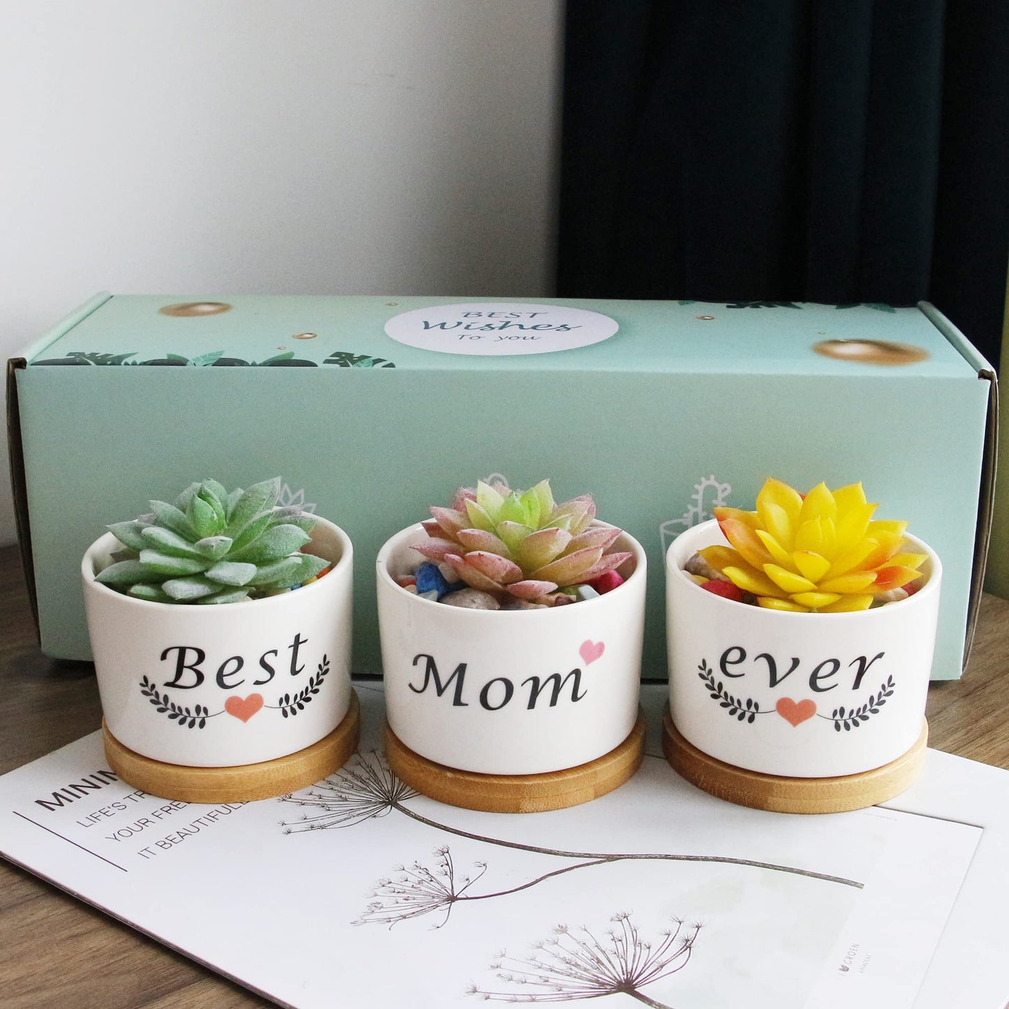 Segreto Creative Plants Pots White Ceramic Vase Planter for Flower Sedum Succulent Plants Desk Garden Room Pot Decor,Pack of 3,Gift Boxed for Mom Friends