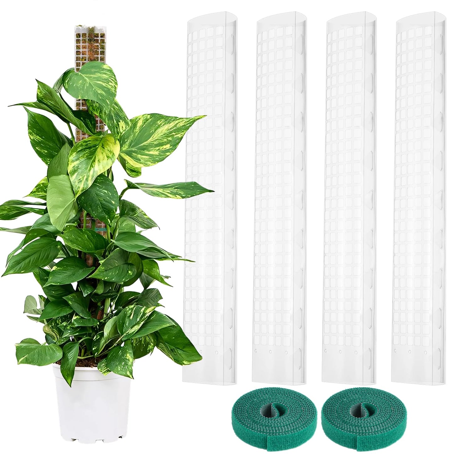 FunPa 4 Pcs Plastic Moss Poles, 24″ Clear Sphagnum Moss Sticks for Indoor Climbing Plants, Stackable Hollow Plant Supports with 10ft Ties, Plant Moss Poles for Monstera, White