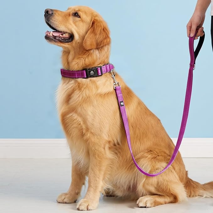 FURRYFECTION Reflective Dog Collar and Leash Set with Quick Release Buckle, Padded with Neoprene, Adjustable Nylon for Small, Medium and Large Dogs (Large Collar + 5FT Leash, Hot Pink)