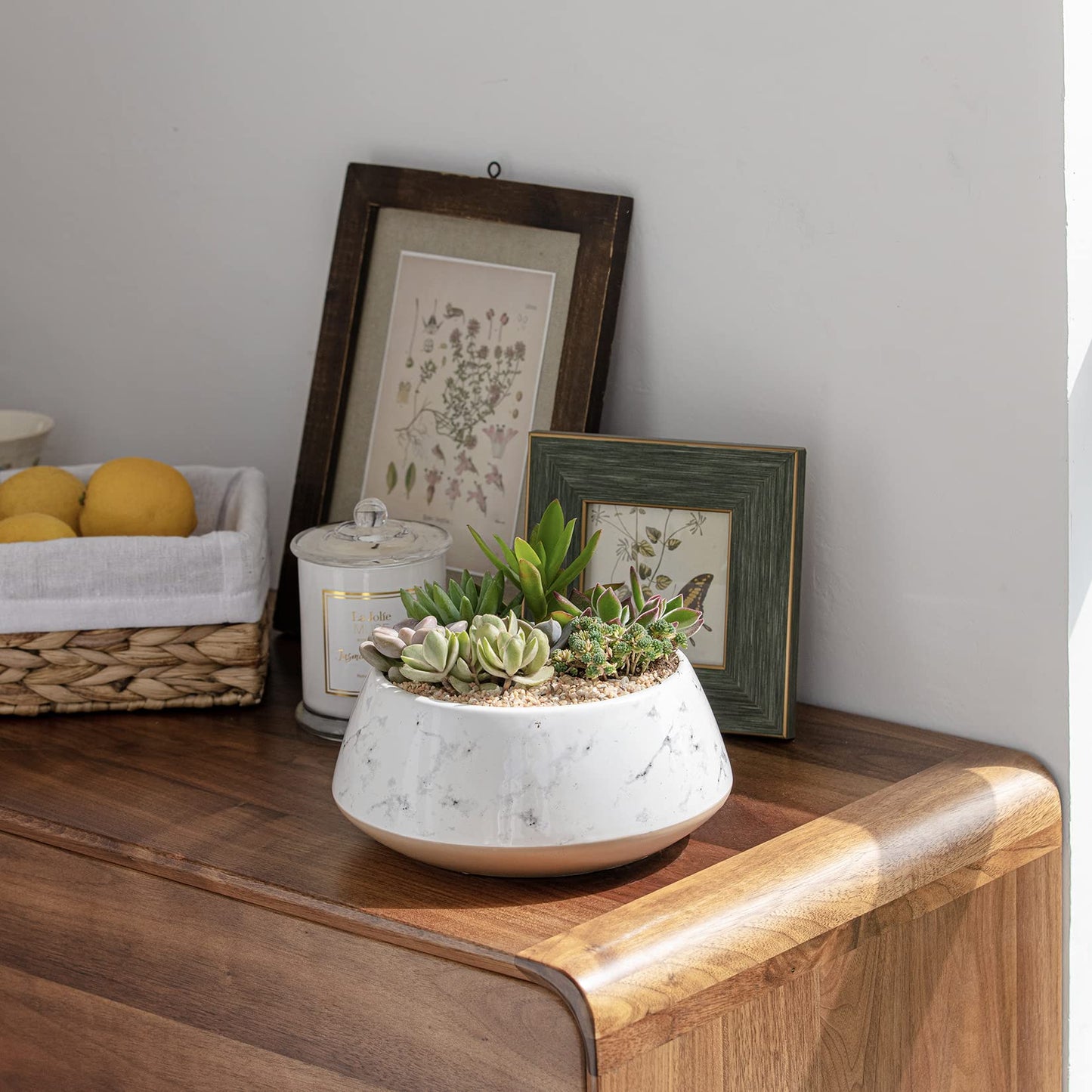 La Jolie Muse Large Succulent Planter Plant Pots, Ceramic Indoor Outdoor Garden Pot W/ Drainage for Plant Flower, 8 Inch, Splash Ink & Sandy Beige