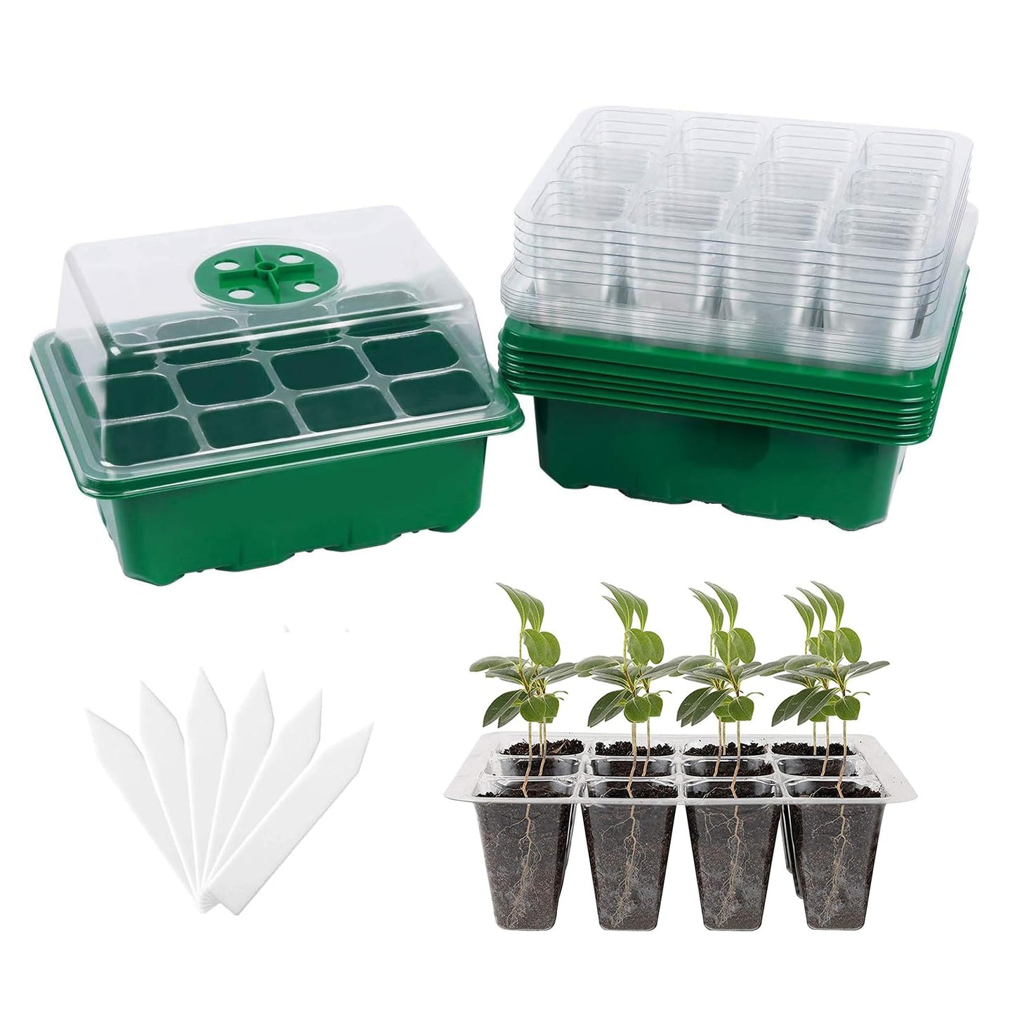 Hdeoops Seed Starter Tray, 6 Set Seedling Kits with Adjustable Humidity Dome, Plant Starter Kit for Seeds Growing Starting (12 Cells per Tray)