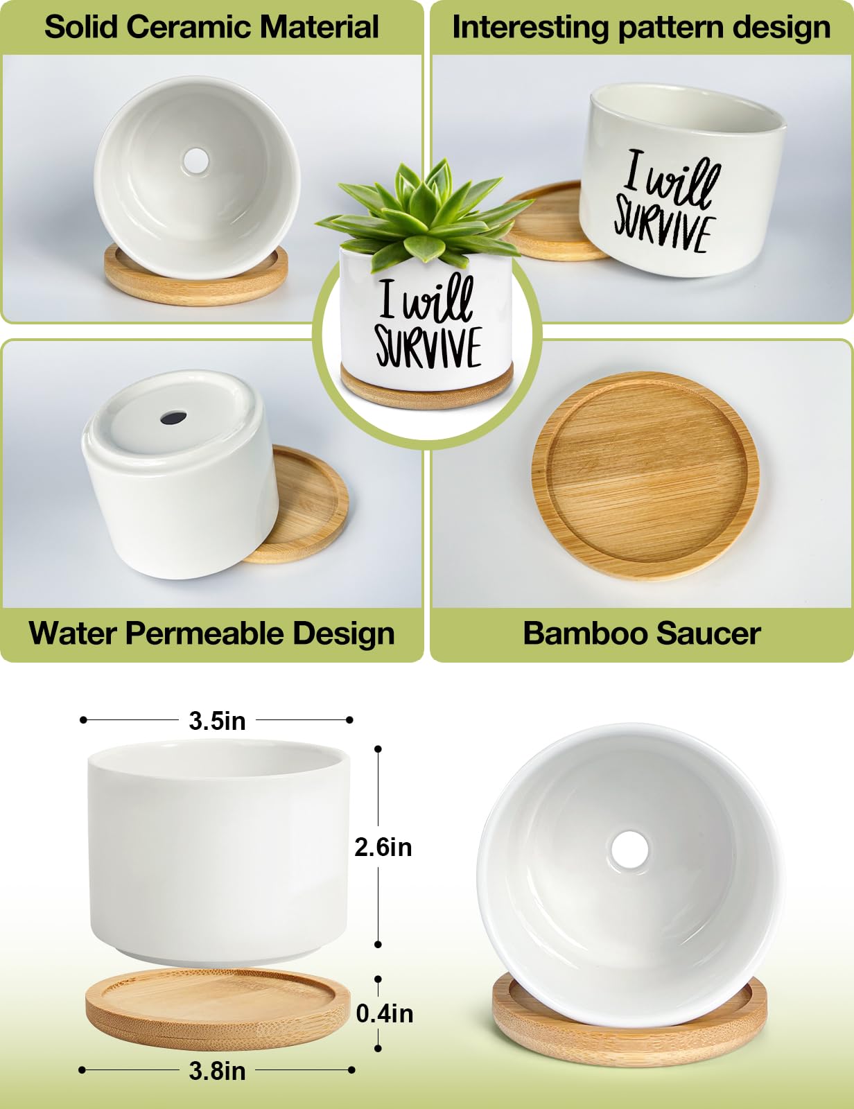 WHING 3.5 Inch Mini Succulent Planter Pot, I Will Survive Funny Engraved White Ceramic Cactus Pot with Bamboo Tray, Indoor Flower Plant Pots for Home Office Windowsill Decor Gift, Plant Not Included
