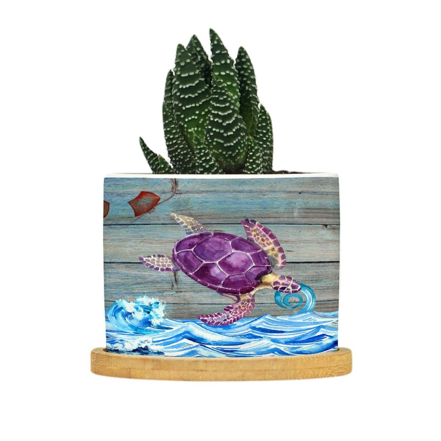 DreamAutumn Ocean Theme Sea Turtle Planter Ceramic Round Plant Pots with Drainage Holes and Bamboo Tray Planting Small Flower Pots for Home Windowsill Desk Garden Indoor Outdoor Use
