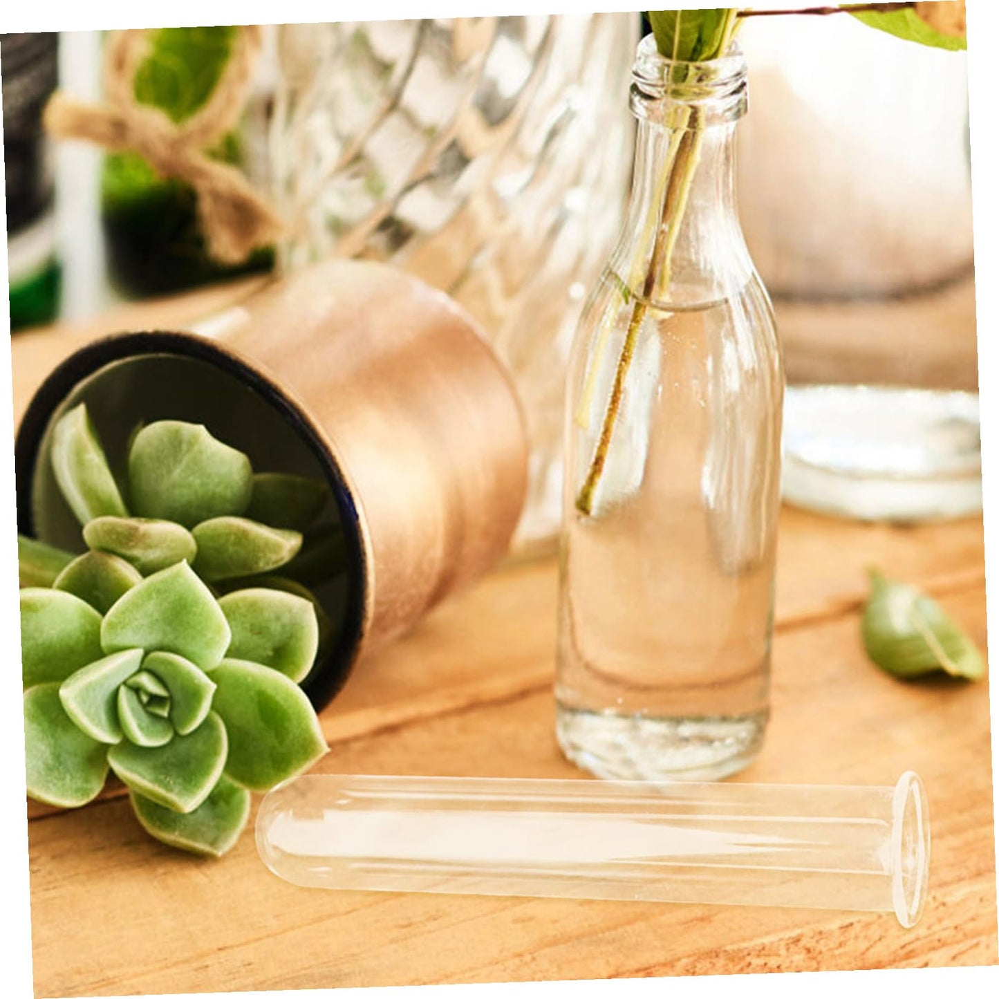 HEALEEP Glass Test Tubes for Plant Propagation 5pcs 2.5x3x15cm Hydroponic Floral Vase Glass Tubes for Small Terrarium Plants and Home Décor