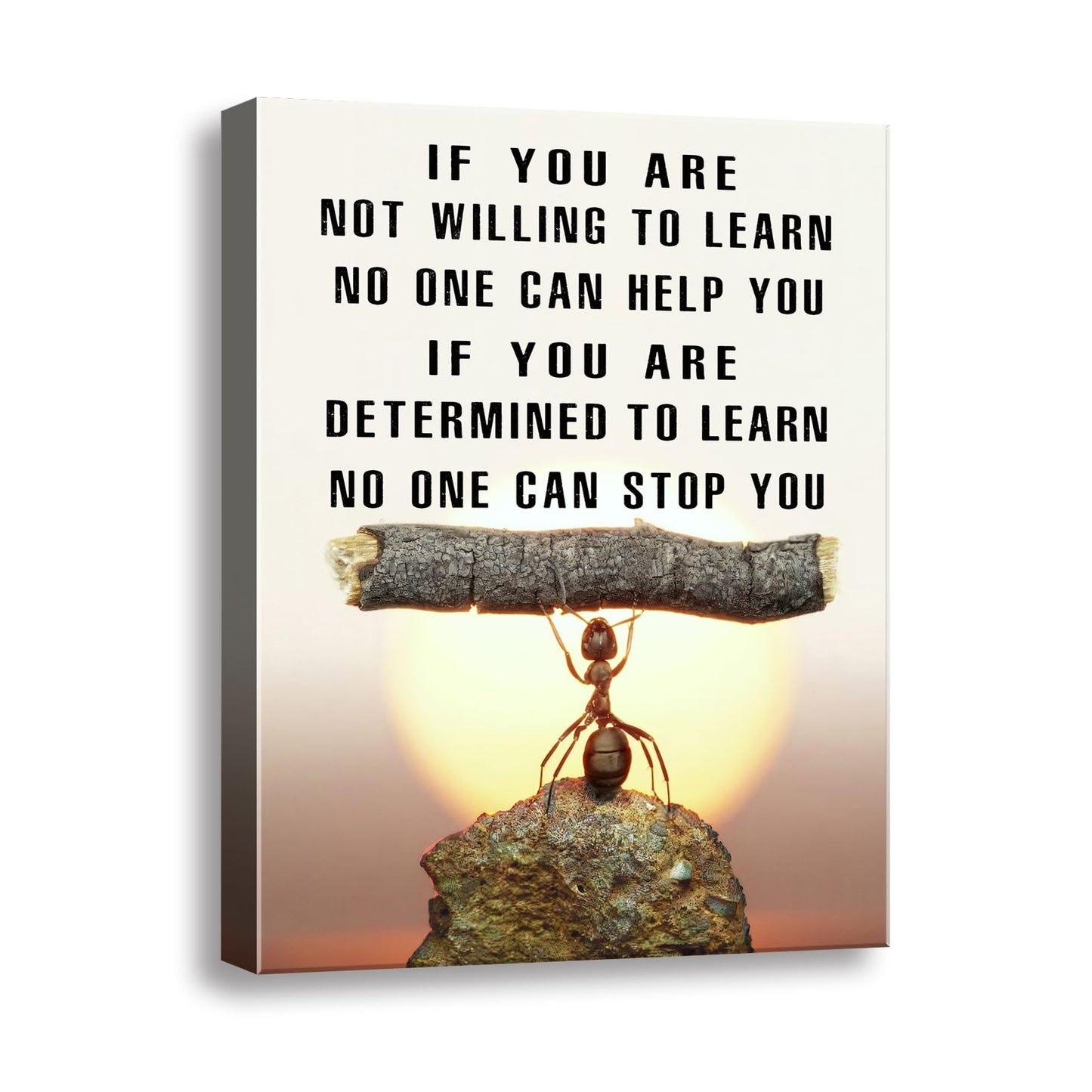 Ploceiny Ant Motivational Wall Art - Inspiring Canvas Decor for Living Room, Kitchen,Laundry room,,bathroom, Bedroom,Office Wall Art & Decor Motivational poster - Positive Quotes Wall Decor