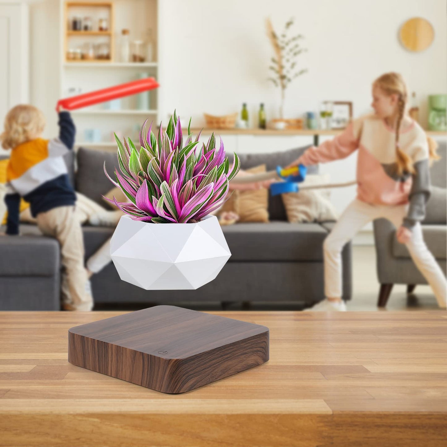 Babook Levitating Air Bonsai Pot,Cool Stuff, Rotation Flower Pot Planters, Potted Plant Home Desk Decor in Flower Pots & Planters from Home & Garden on (Dark Color)