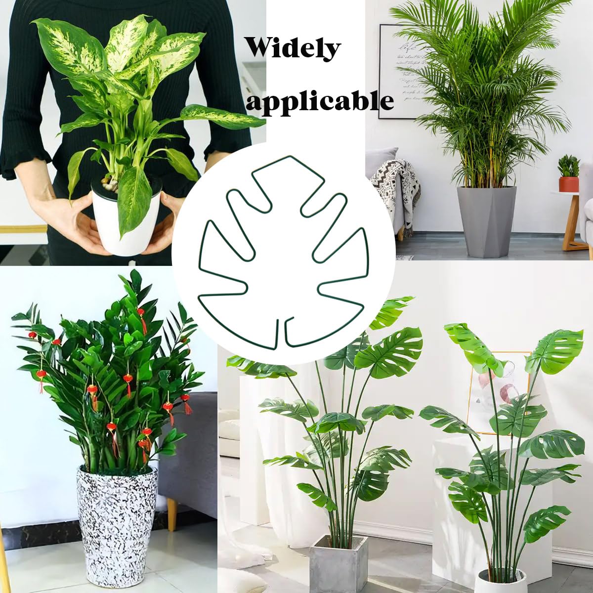 Spiritlele 5 Pcs Green Plant Stem Support Holder Set Monstera Plant Support Clamp Growth Accessories for Indoor Plants Small