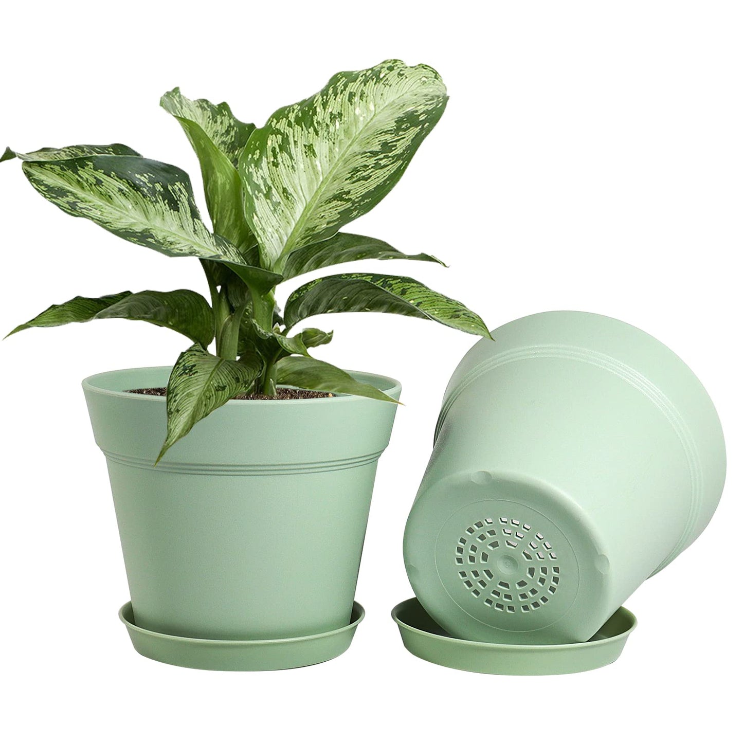WOUSIWER 16 Pack 6 inch Plastic Planters, Plastic Indoor Planter Flower Pots, Heavy Duty and Stylish 6 Inch Plant Pots for Indoor Plants with Drainage Holes and Tray for Plants Flowers, Green