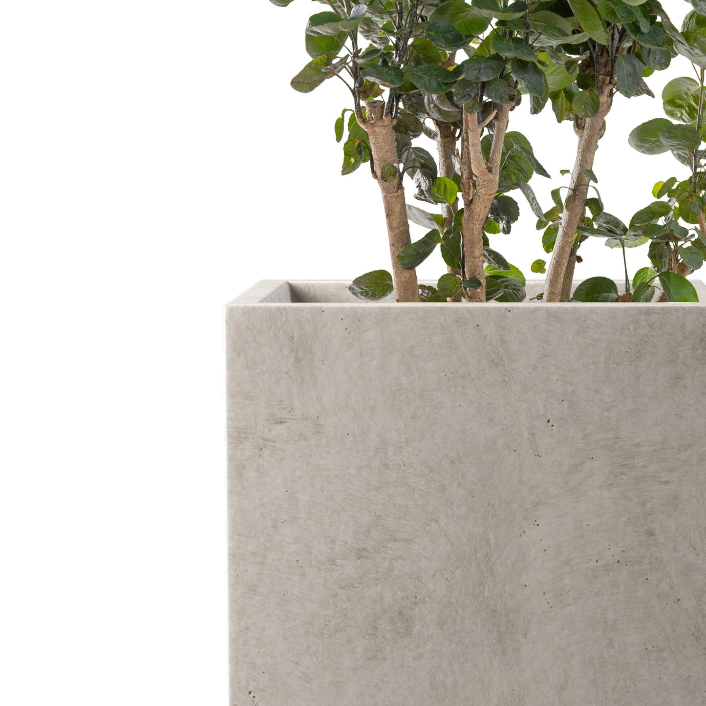 Kante 12.6" H Tall Rectangular Concrete Planters, Outdoor Indoor Lightweight Plant Pots with Drainage Hole and Rubber Plug, Modern Style for Home Garden Patio, Weathered Concrete