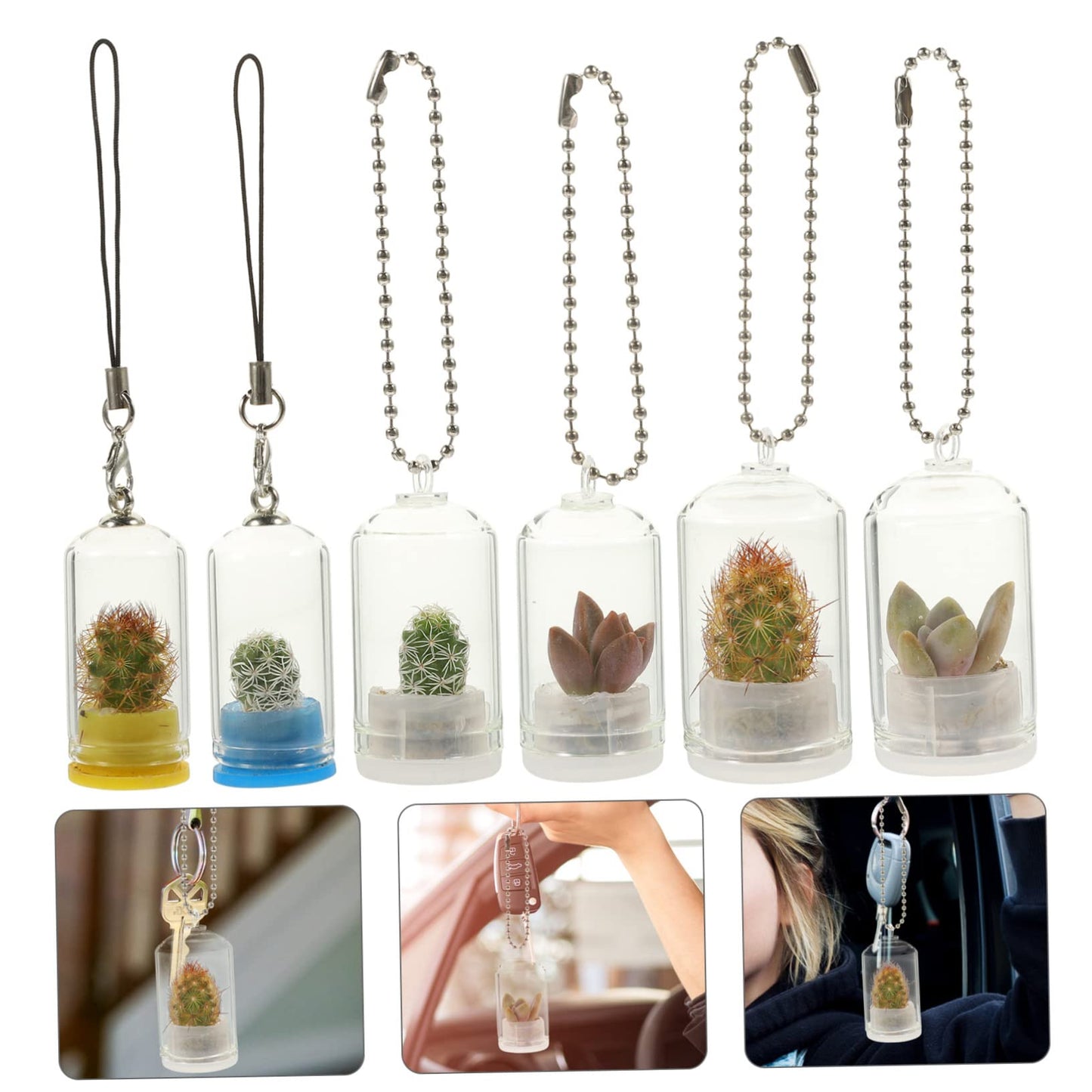 ifundom 6Pcs Miniature Glass Terrarium Keychain Pendant for Air Plants Miniature Vases Accessories for Plant Propagation and Home Decor