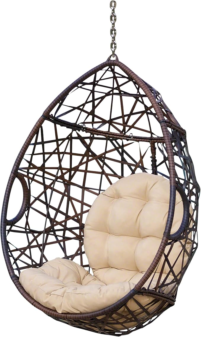 Christopher Knight Home Isaiah Indoor/Outdoor Wicker Tear Drop Hanging Chair