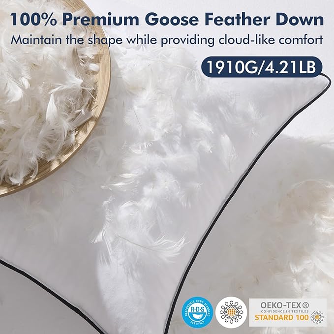 MIULEE Goose Feather Down 26x26 Euro Pillow Insert Set of 2