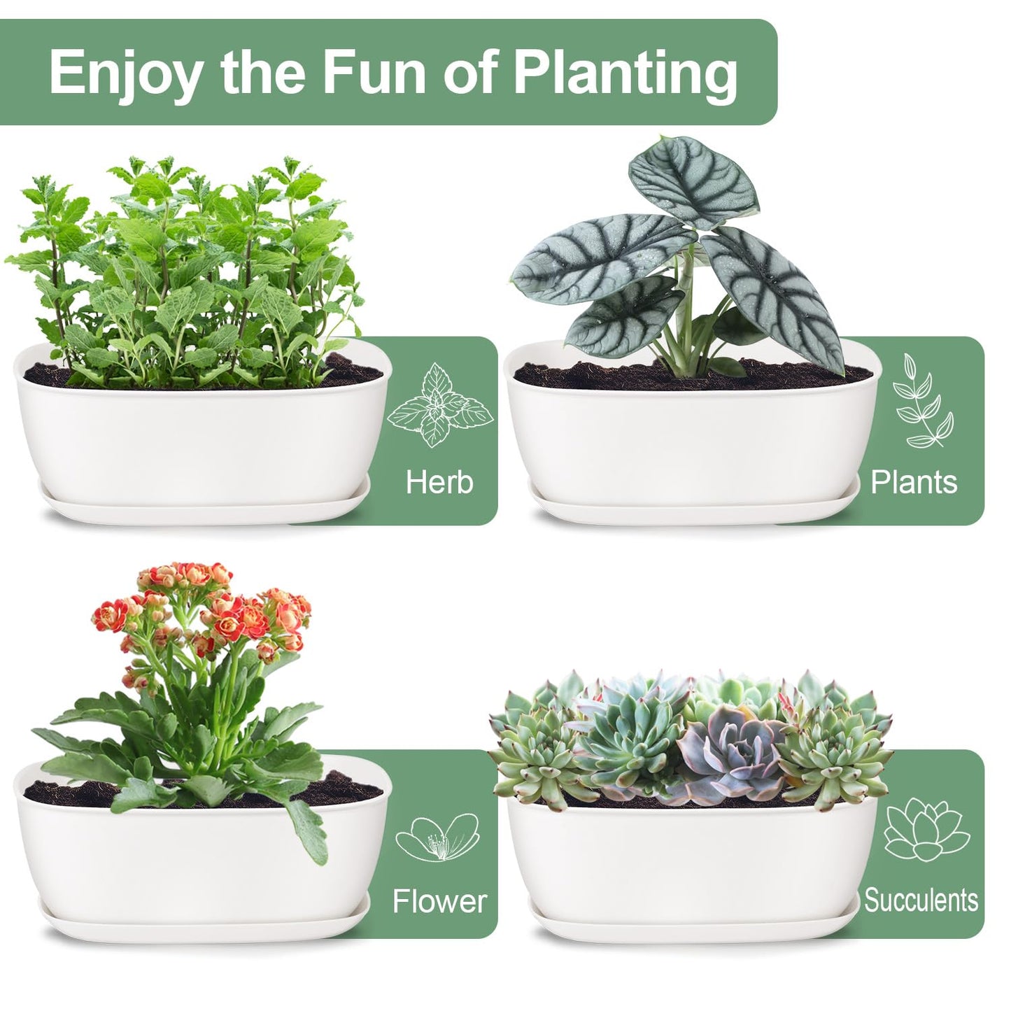 Oliz Set of 4 White Oval Shallow Herb Garden Planters with Drainage Holes and Trays (8.66 Inch) Plant Pots for Herbs Basil Orchids Succulents, Modern Herb Garden Planter for Indoor/Outdoor Plants