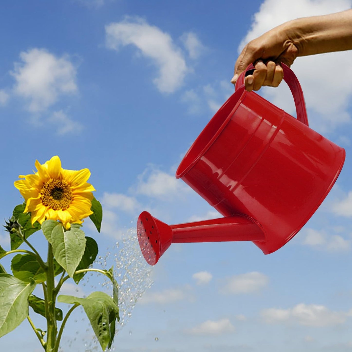 Galvanized Watering Can 1L,Tinplate Watering Kettle with Removable Spout,Garden Decorations,Gardening Tools for Outdoor Indoor Plants Lawn Garden (Red)