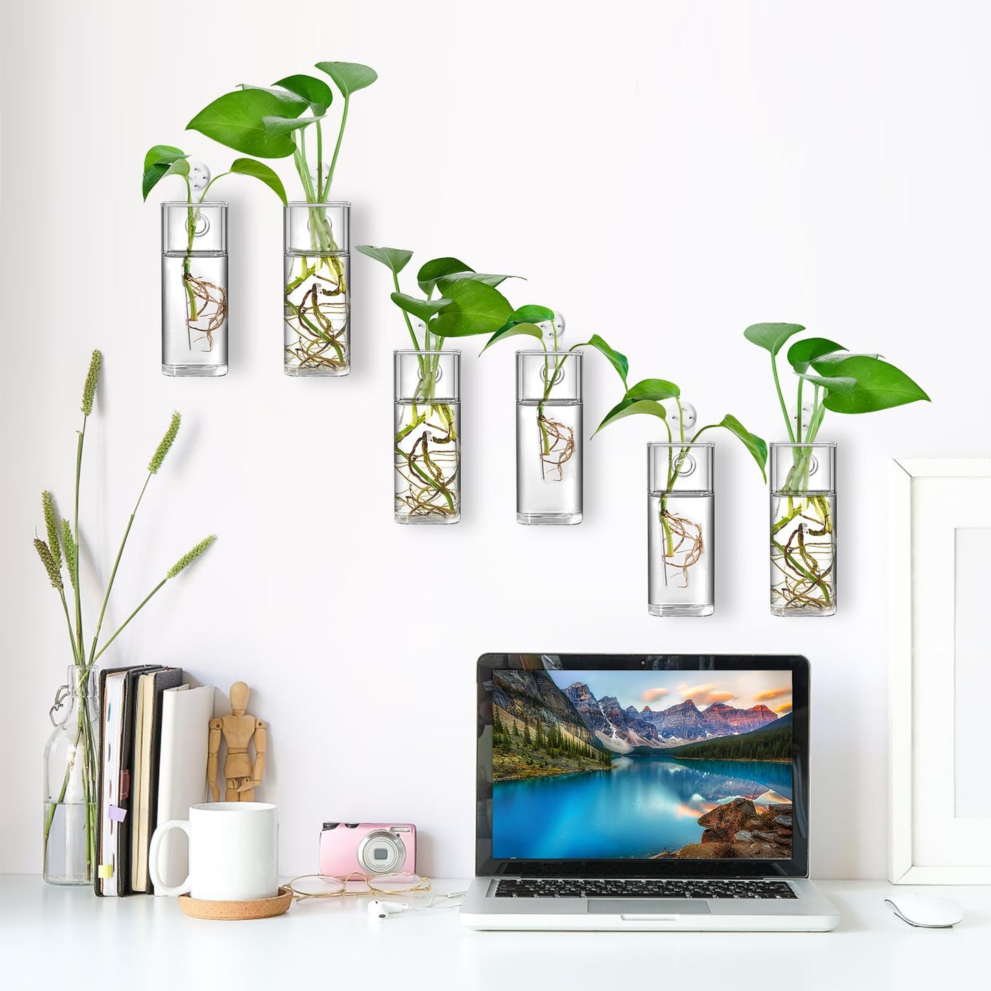 Fasmov 6 Pack Wall Hanging Glass Planters, Terrarium Holders for Air Plants, Succulents, Flowers - Square, Clear Vase Containers for Plant Display and Decoration