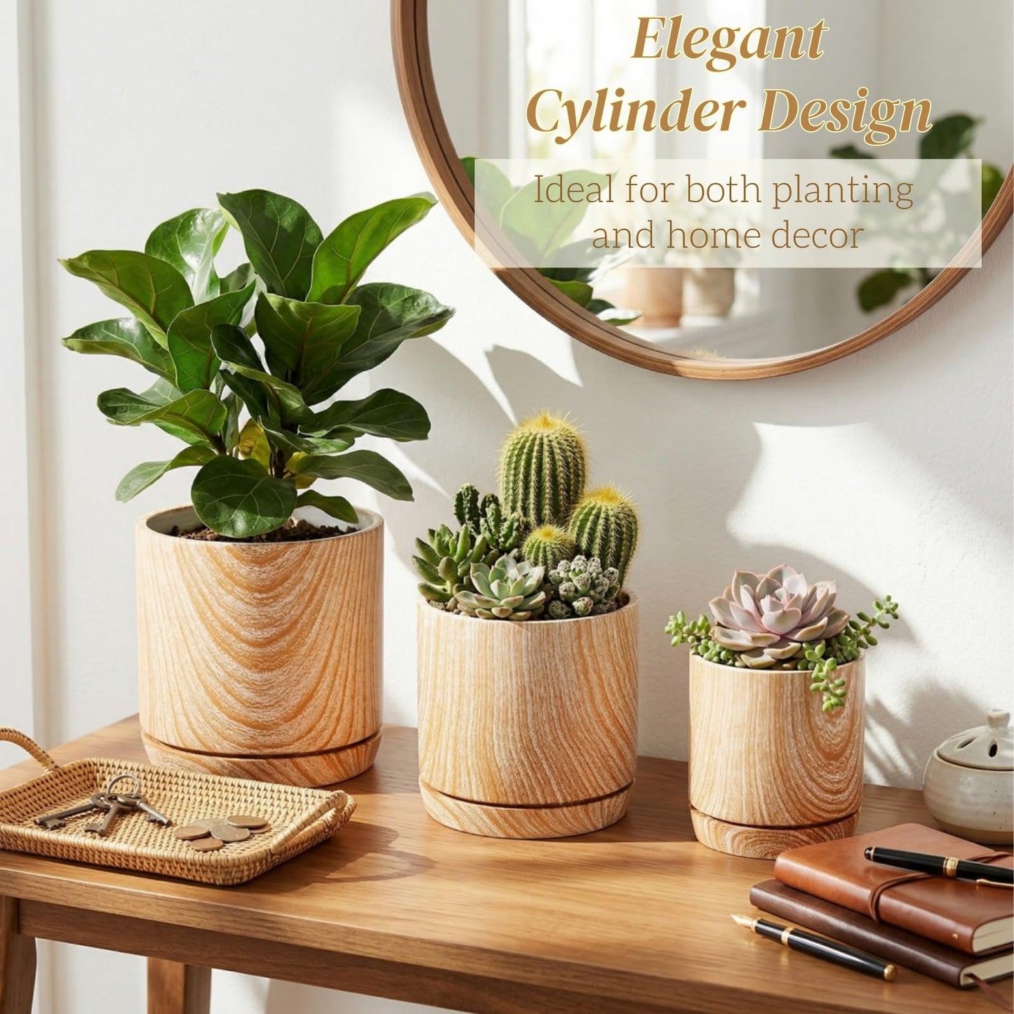 Dicunoy Set of 3 Ceramic Planters - 6"/5"/4" Cylinder Flower Pots with Drainage Holes and Saucers for Indoor, Outdoor, Garden, Cactus, Herbs, Snake Plants, Aloe Vera, All House Plants