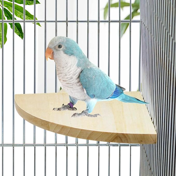 Litewoo Bird Parrot Corner Perch Flat Platform Stand, Easy to Install, Safe and Stable, Smooth Polishing Without Hurting Feet, Solid Hardwood Bird Cage Perches（L）