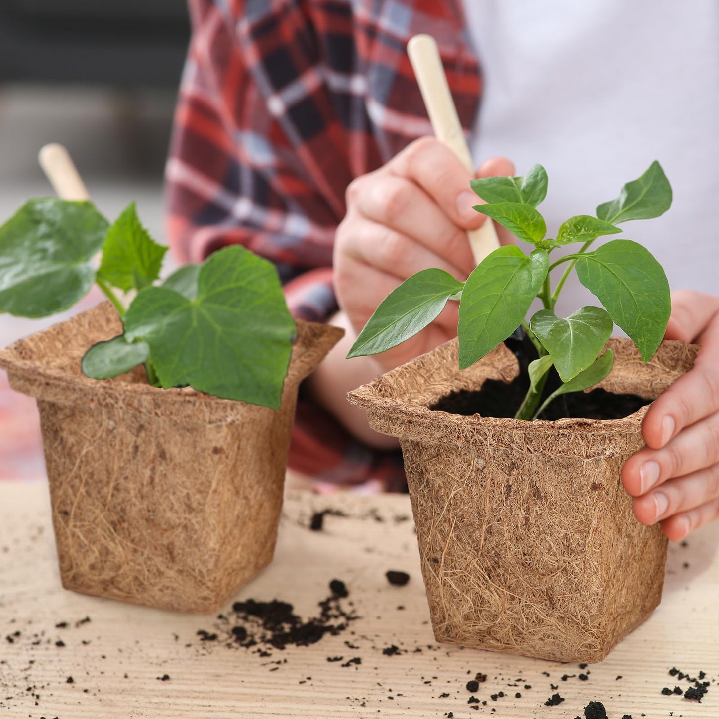 RimCereal 24pcs Coco Coir Plant Pots Biodegradable Seed Starter Cups, Coco Peat Seedling Cups Plant Nursery Cup Organic Coir Peat Pots for Seedlings, Herbs, Indoor/Outdoor Gardening