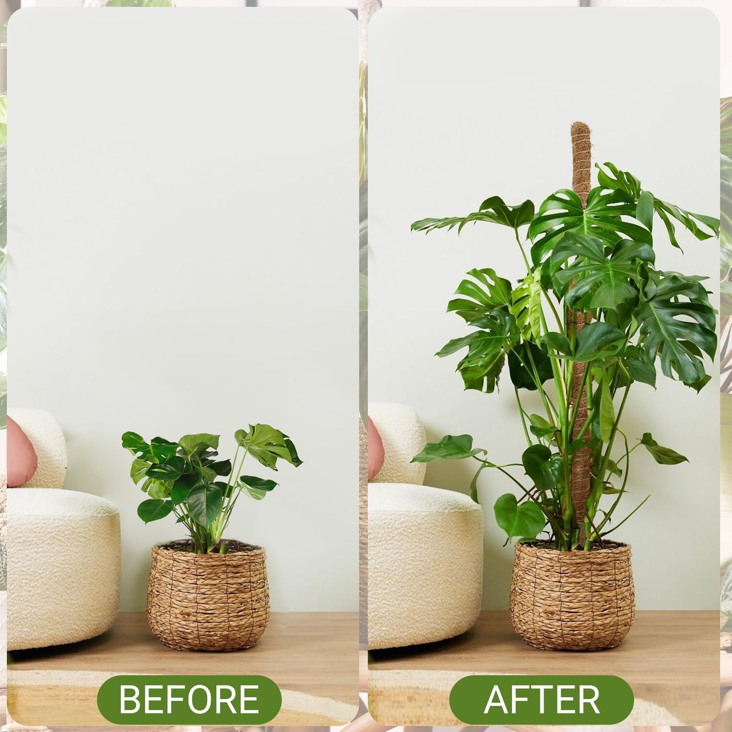 Deergo 4Pack 30 Inch Moss Pole, Bendable Moss Pole for Plants Monstera Coco Coir Plant Support Pole for Small Climbing Plants Grow Up, Brown