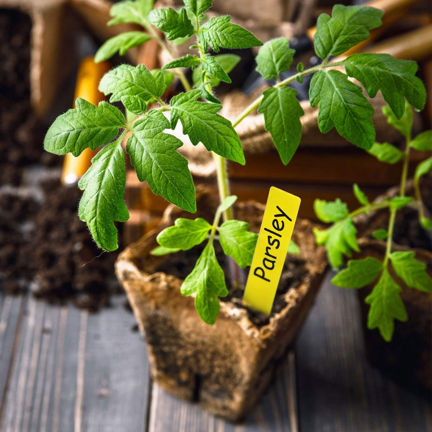 homenote Peat Pots, 4 Inch Seed Starting Pots with Drainage Holes Round(30 Pcs) with 4 Inch Plastic Plant Labels Waterproof Plant Tags(200 Pcs)