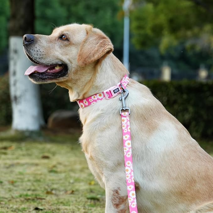 Dog Collar and Leash Set, Cute Pink Daisy Pattern, Polyester Material, 5ft Leash, for Large Dogs.(Large, Pink Daisy)