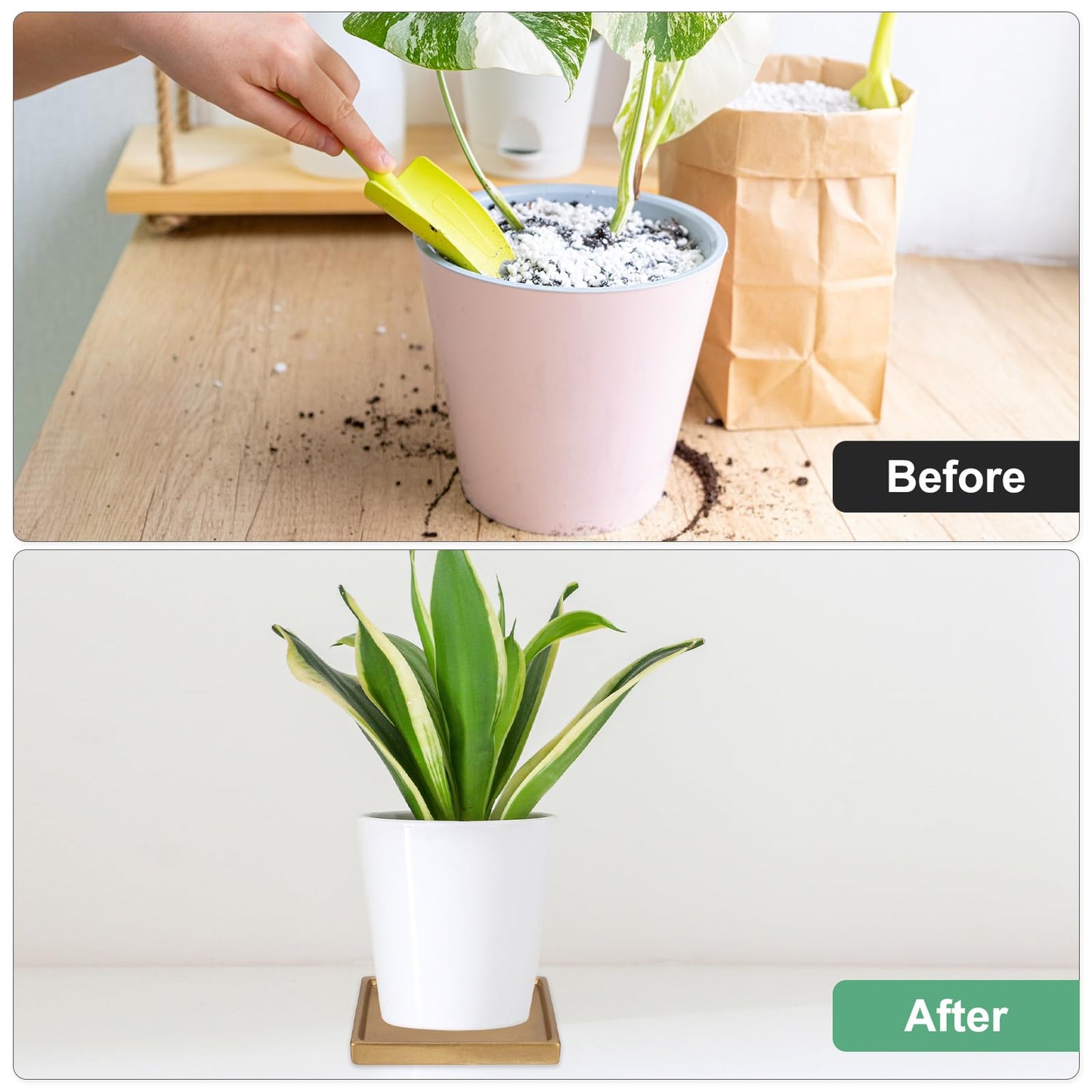 M METERXITY 2-Pack Ceramic Plant Saucer, 5 Inch Plant Water Catcher Tray, Plant Pot Saucers for Indoor/Outdoor Plants/Flower Drainage Drip Water Tray [Square Gold]