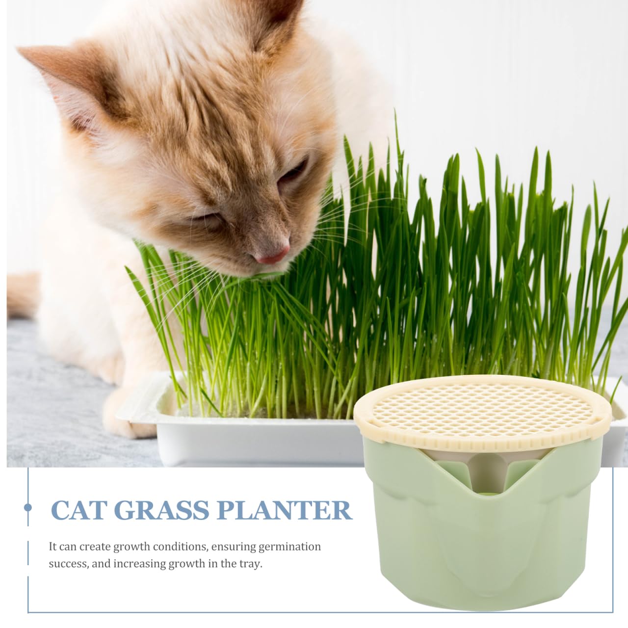 VICASKY Cat Grass Planter for Indoor Cats Seeds Kit Pot Hydroponic Cup: Soilless Catnip Growing Box for Indoor&Outdoor Kitten Use Wheat Cup with Removable Tray (Light Green)