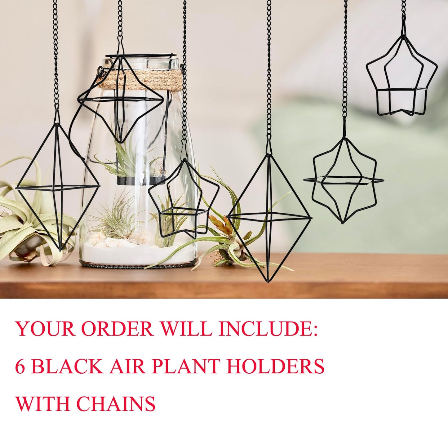libproqia Geometric Air Plant Hanger 6 Pack Black Metal, 3 Shapes & 2 Sizes with Detachable Chains, Modern Himmeli Wall Hanging Planter for Tillandsia Indoor Home Decor