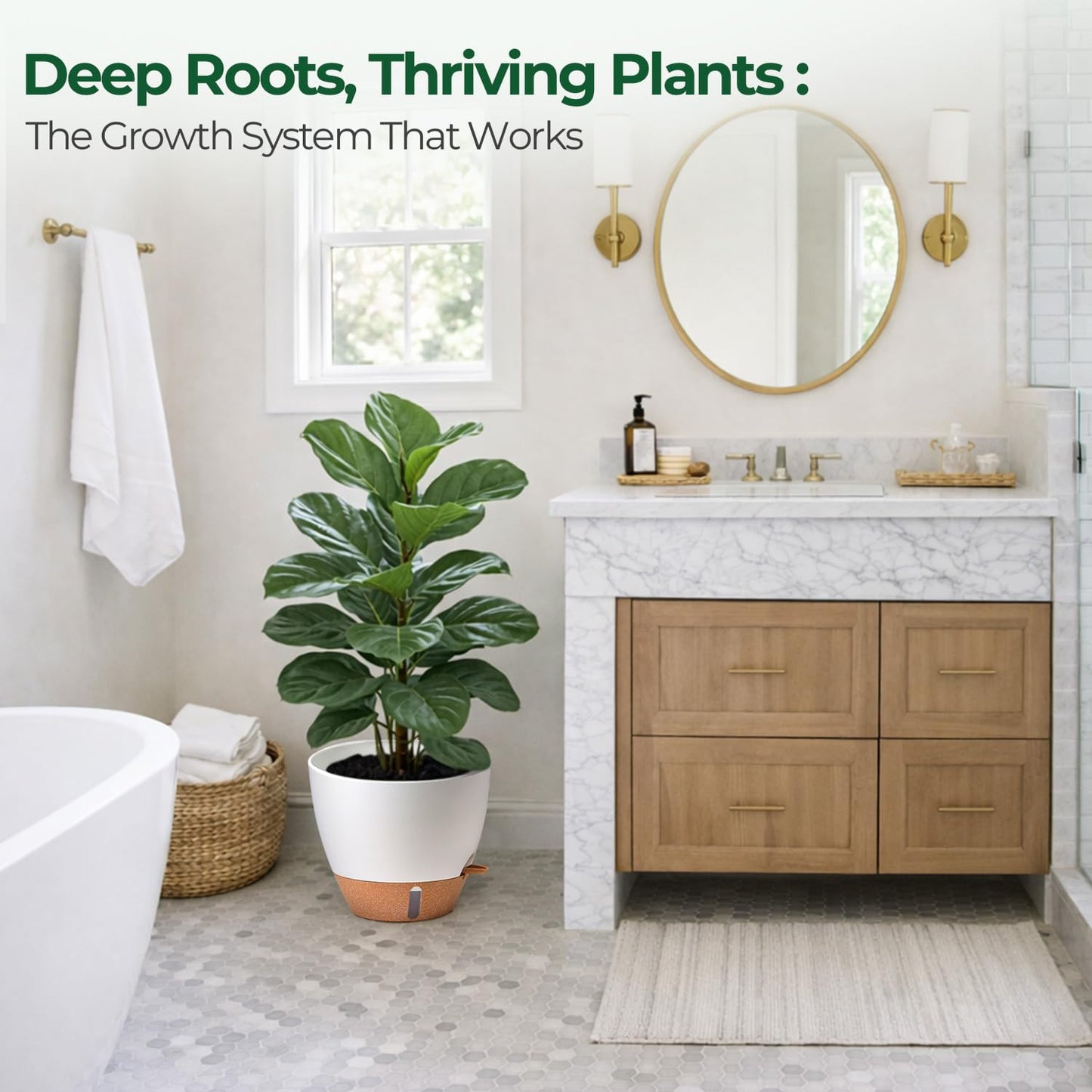 T4U 12 Inch Self Watering Pot - Water Level Indicator & Deep Reservoir, Mess-Free Planter for Busy People, Beginners & Gardeners, Fits Rubber Tree/Fiddle Leaf Fig Plants, Indoor Outdoor Use (White)