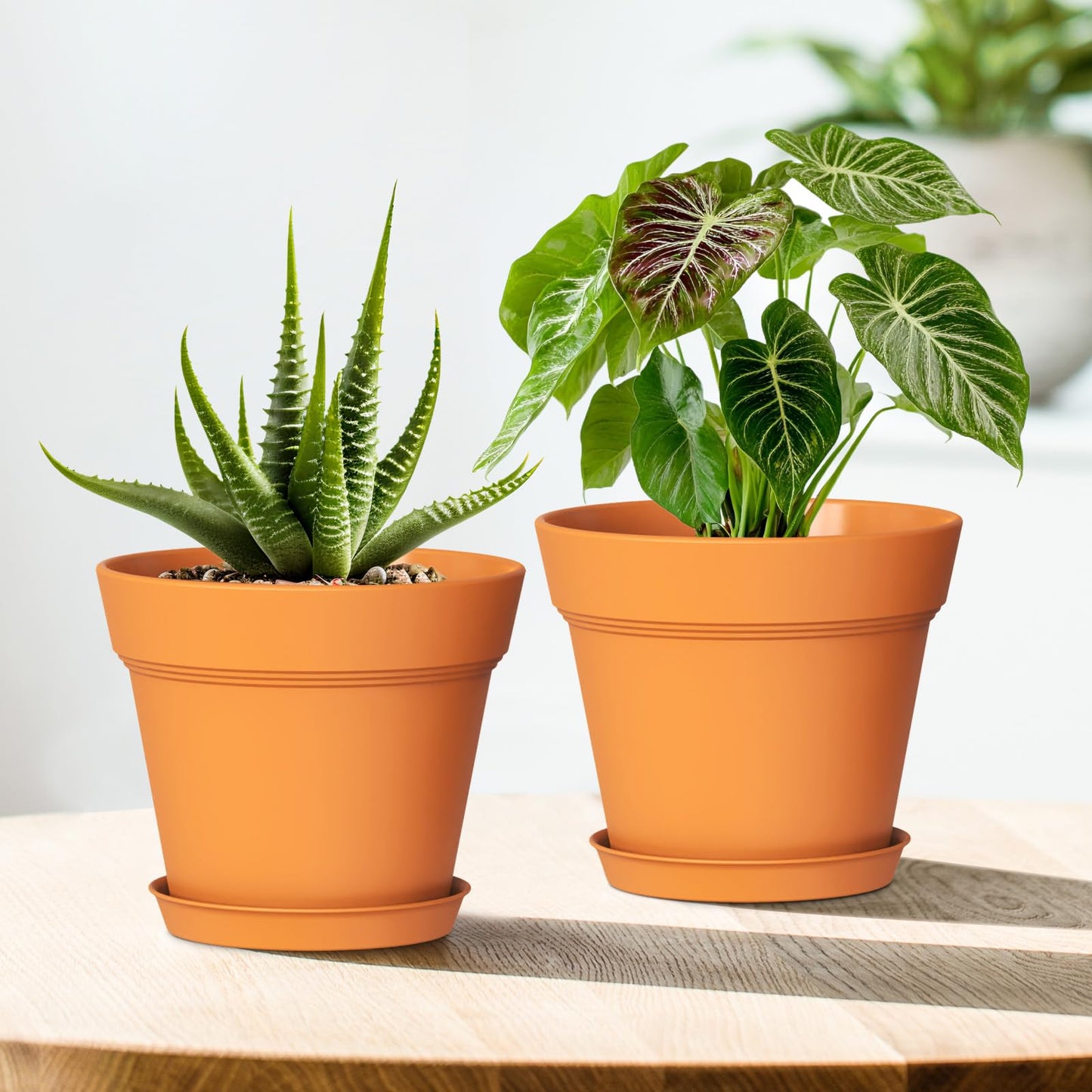WSMKSZ 5 Inch Plastic Plant Pots with Drainage Holes and Trays – 6 Pack Small Nursery Pots for Indoor & Outdoor House Plants and Flowers, Seedling Starter Planters, Terracotta