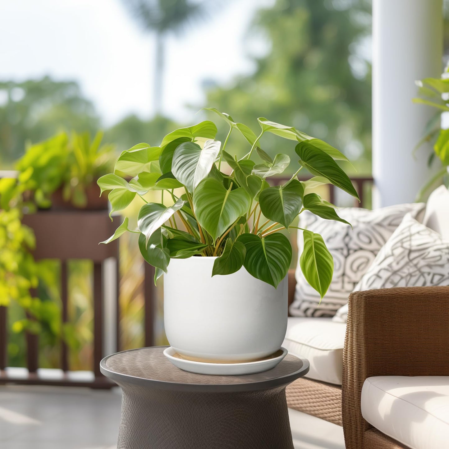 SUNPOTFOR Ceramic Plant Pot - Modern 8 Inch Round Planter for Indoor Outdoor Plants with Drainage Hole and Saucer, Home House Room Office Decor, White