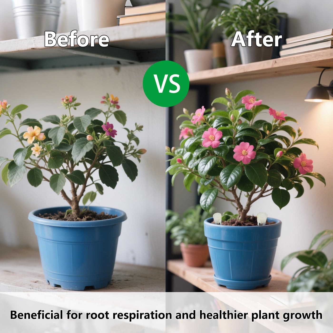 Belit 8 Pcs Plant Root Ventilation Stakes, Breathable Stake Beneficial for Root Respiration, Potted Plants Prevent Root Rot