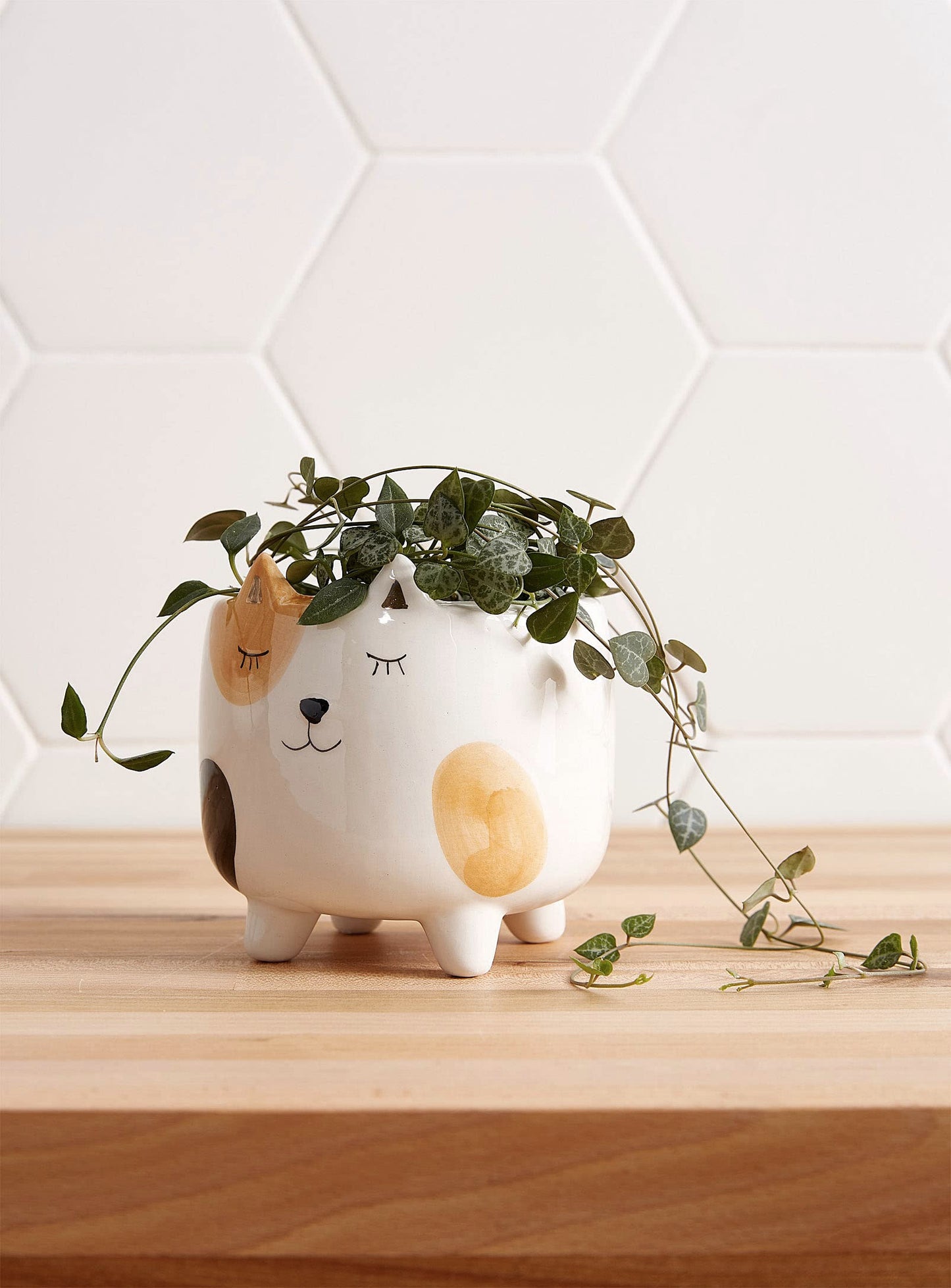 SparkDazzle Cat Planter Pot | Indoor Planter for Plants | Cat Lover and Gardening Gift | Animal Succulent Planter | Gifts for Women